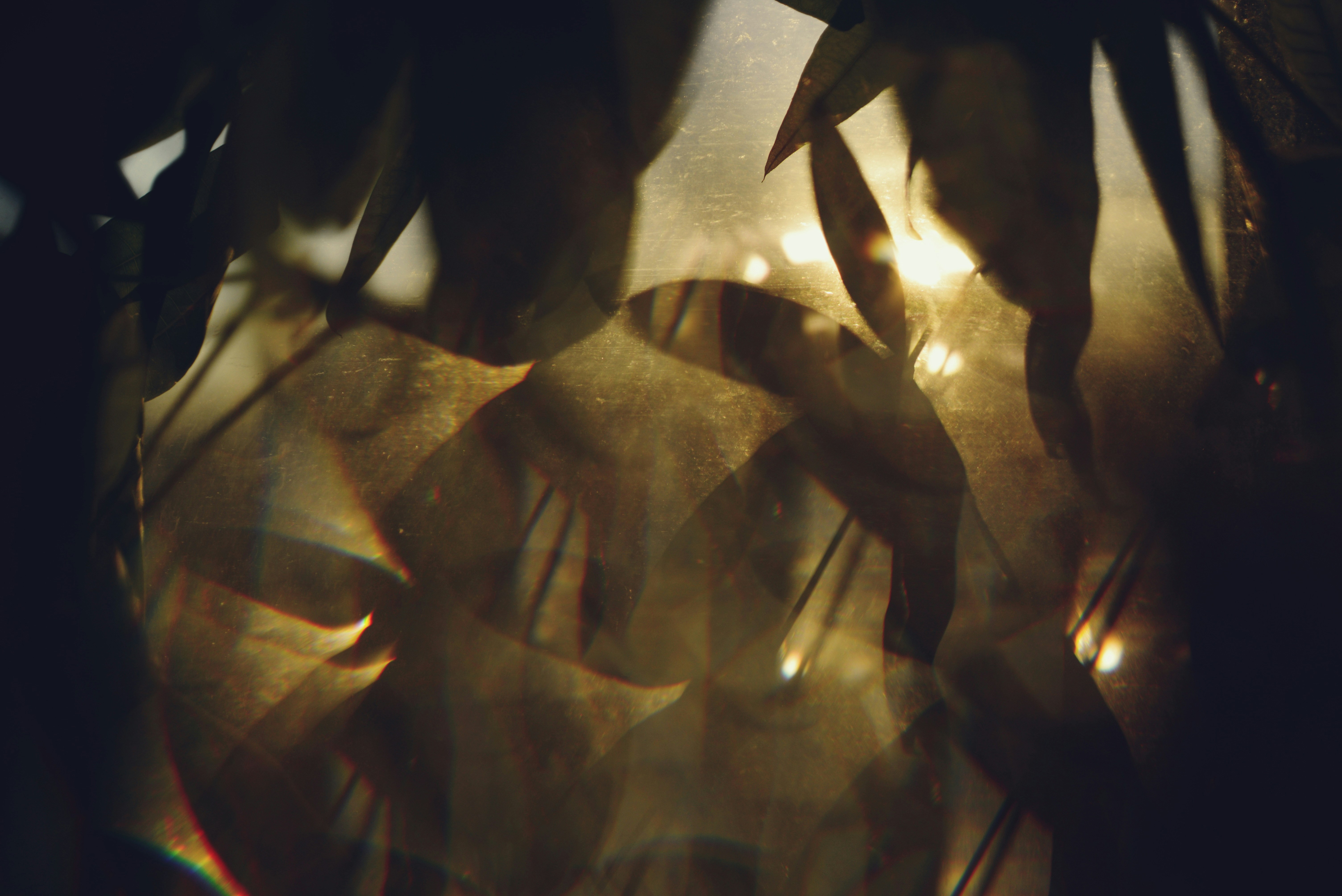 Photo by cherstve_pechivo