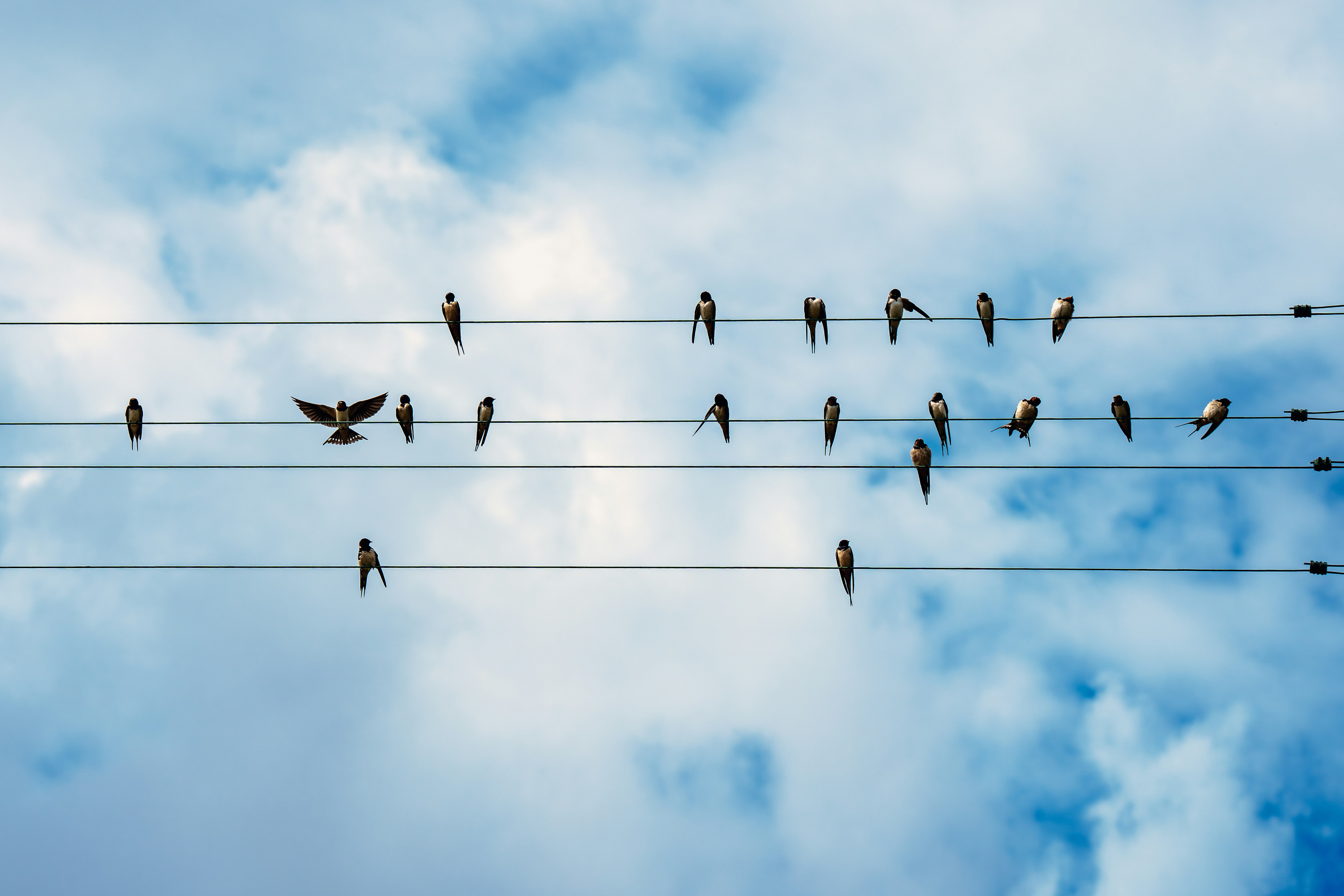 Photo by cristoforobonissone