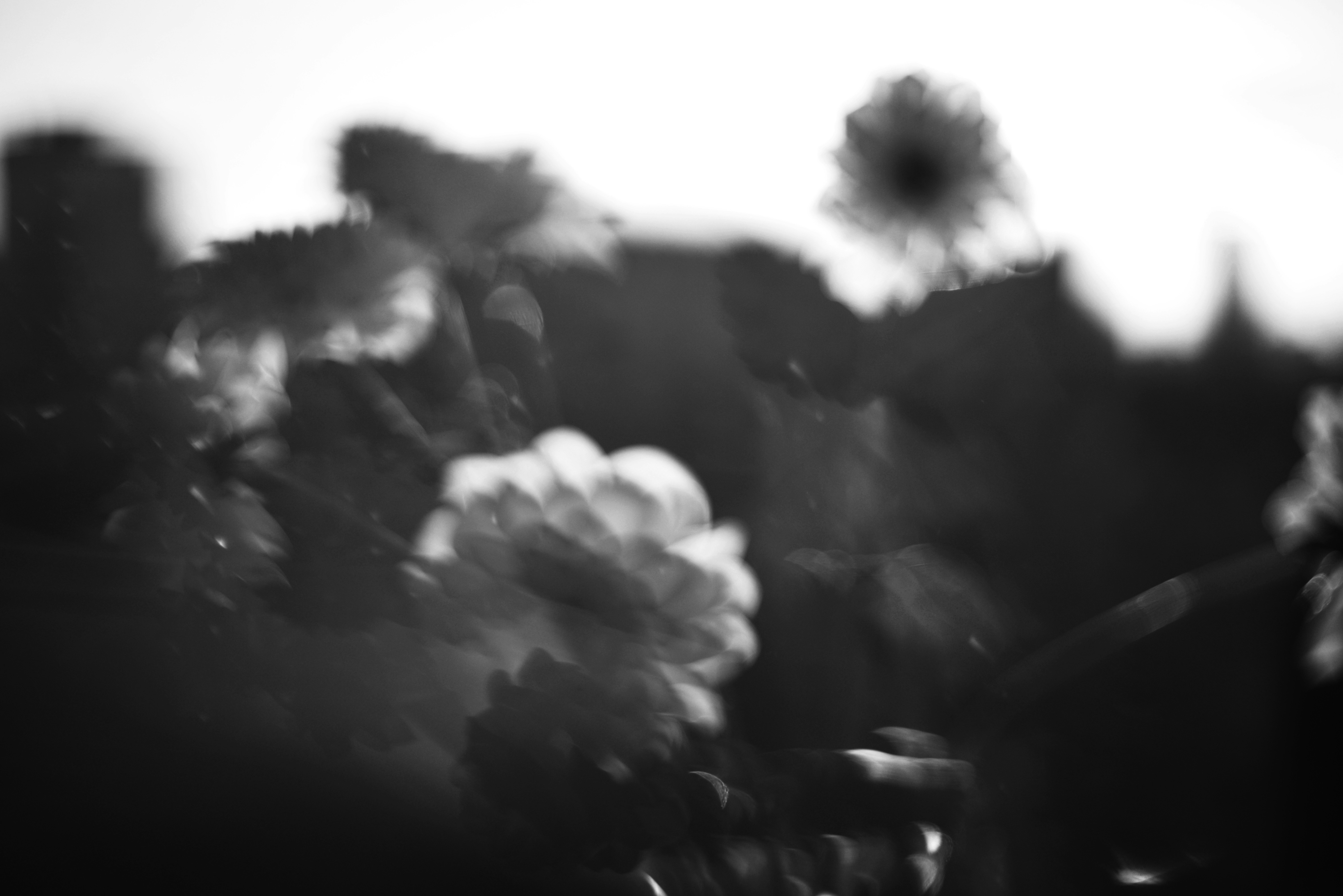 Photo by cherstve_pechivo