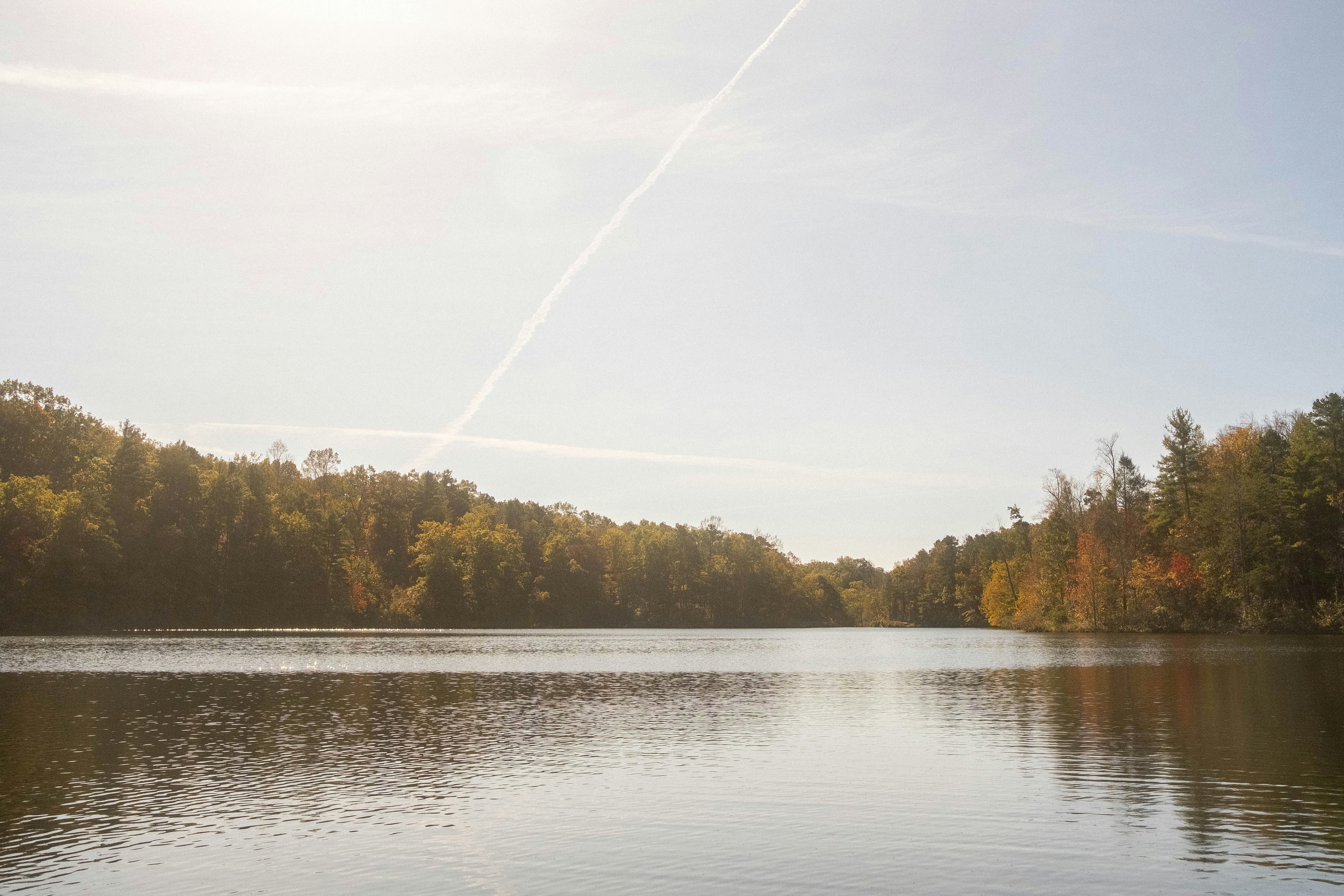 Photo by thejustinhall