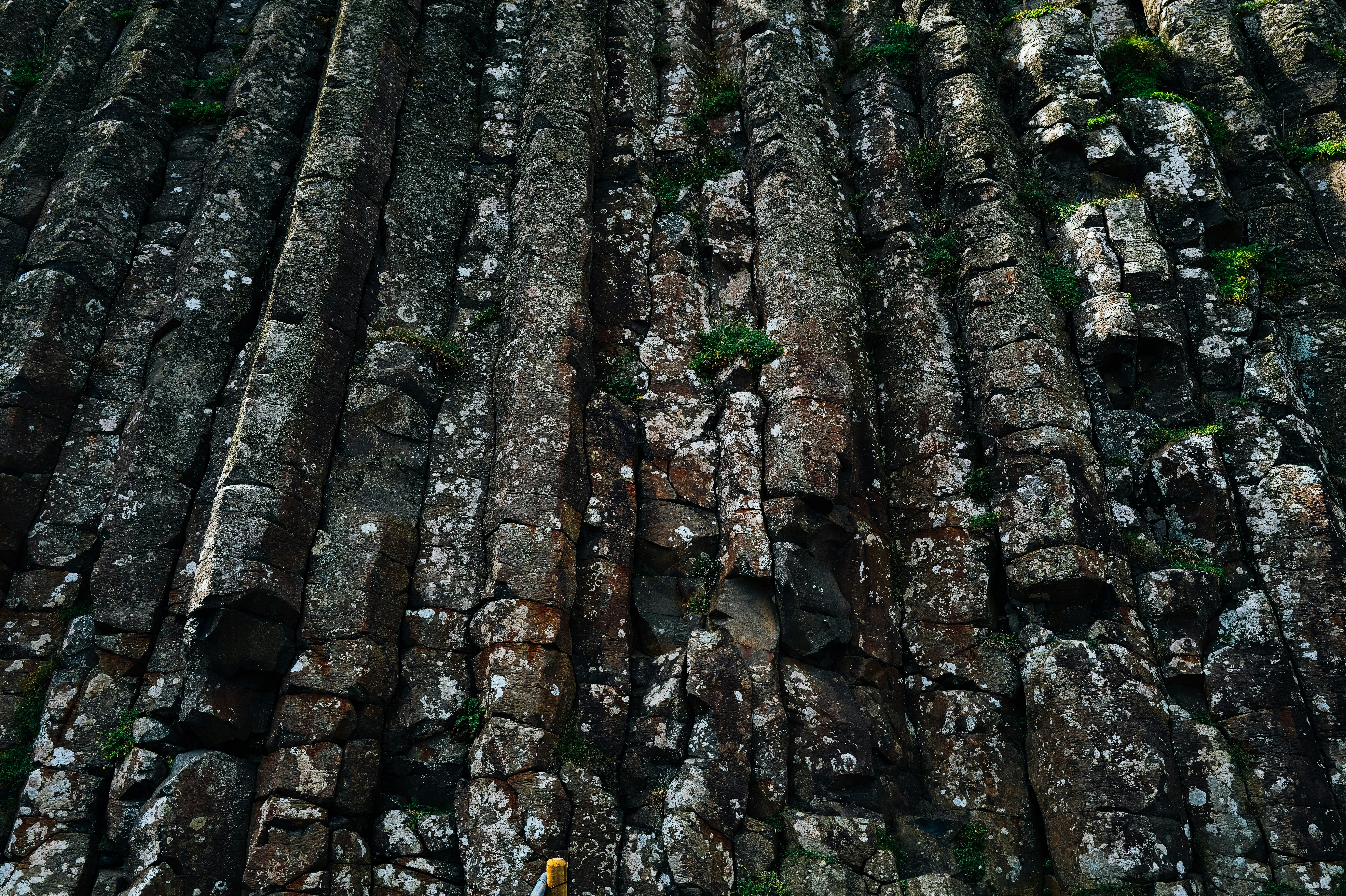 Photo by adrienolichon