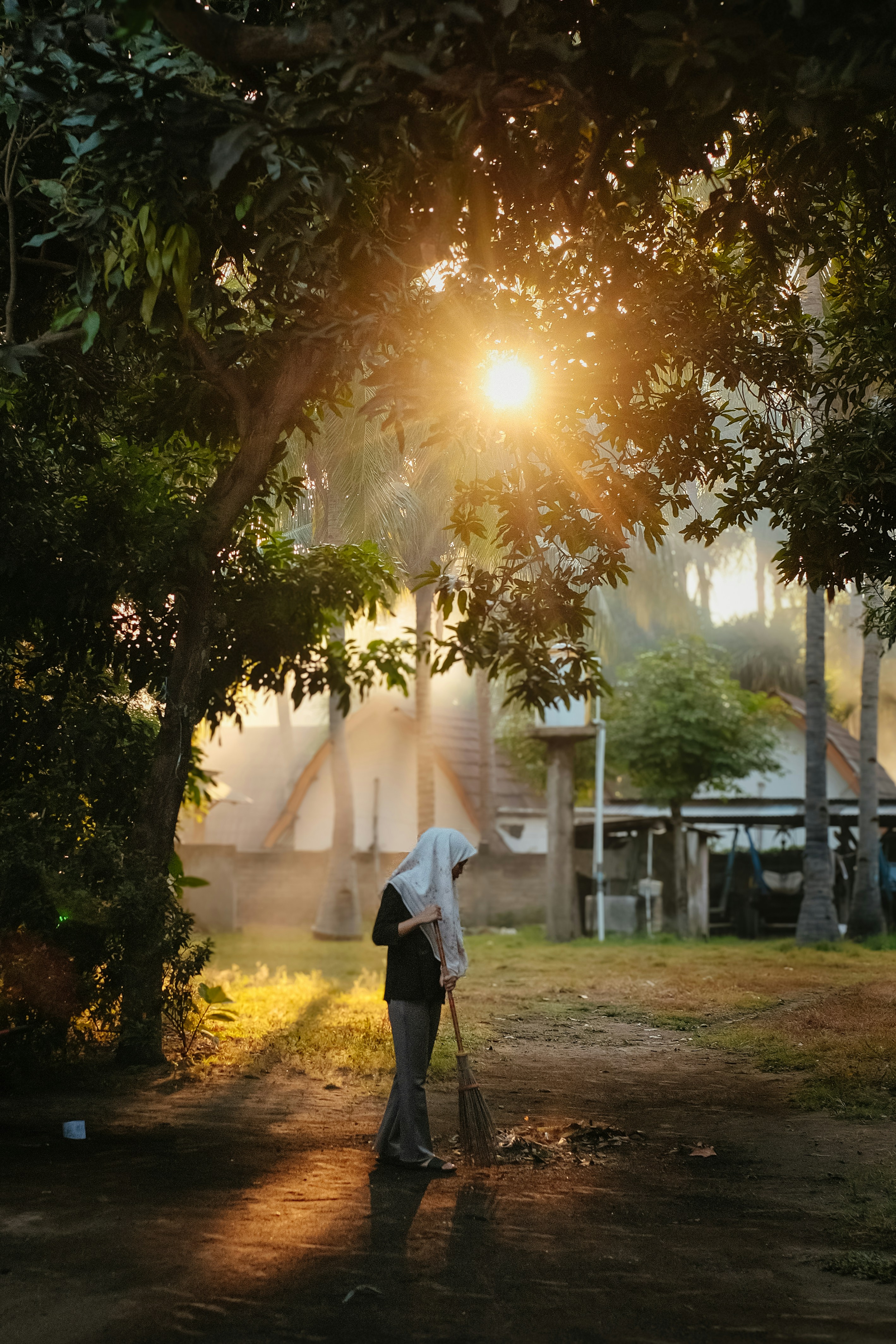 Person sweeping leaves in sunlight with trees.