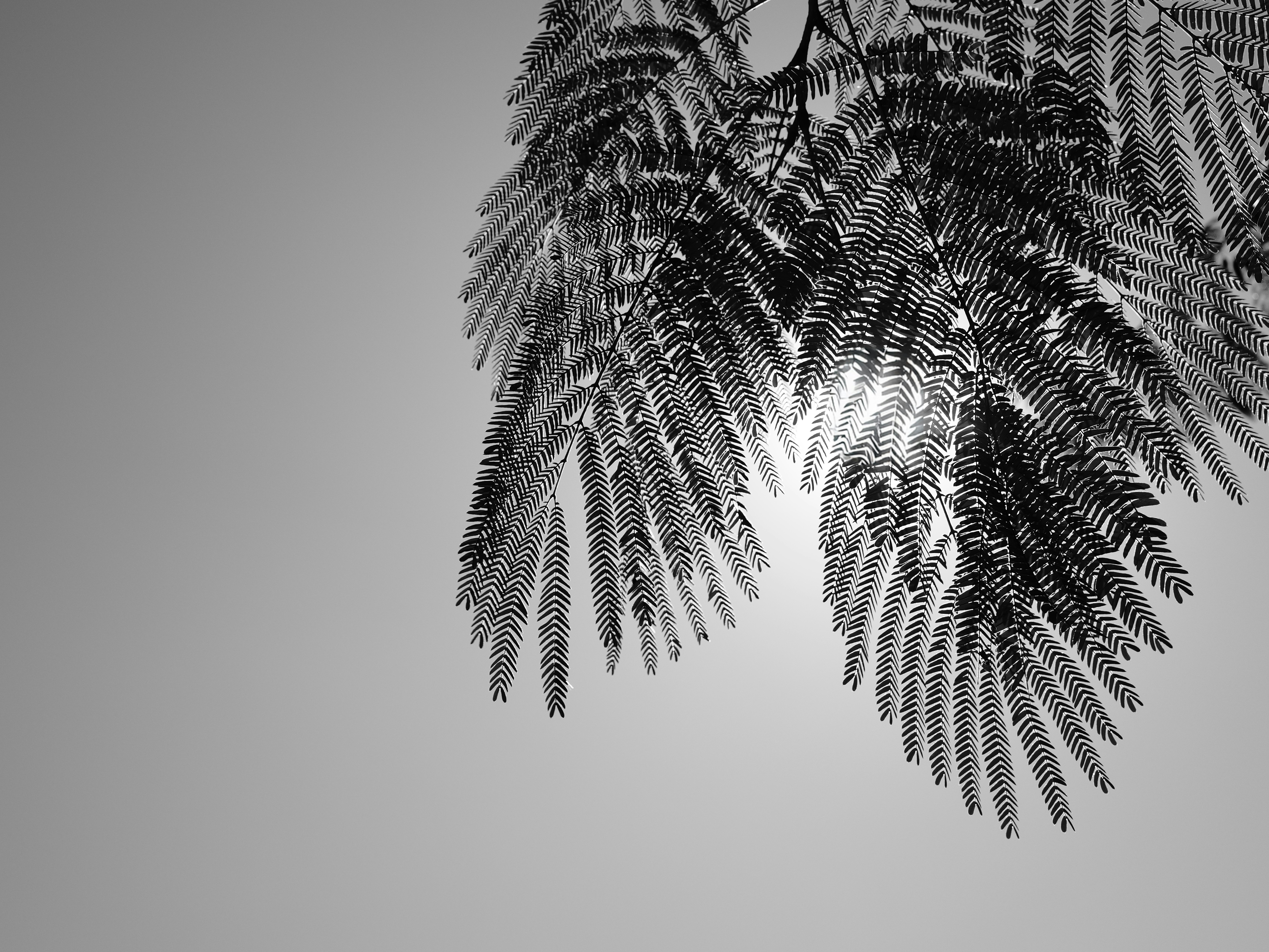 Photo by _zash_capturing