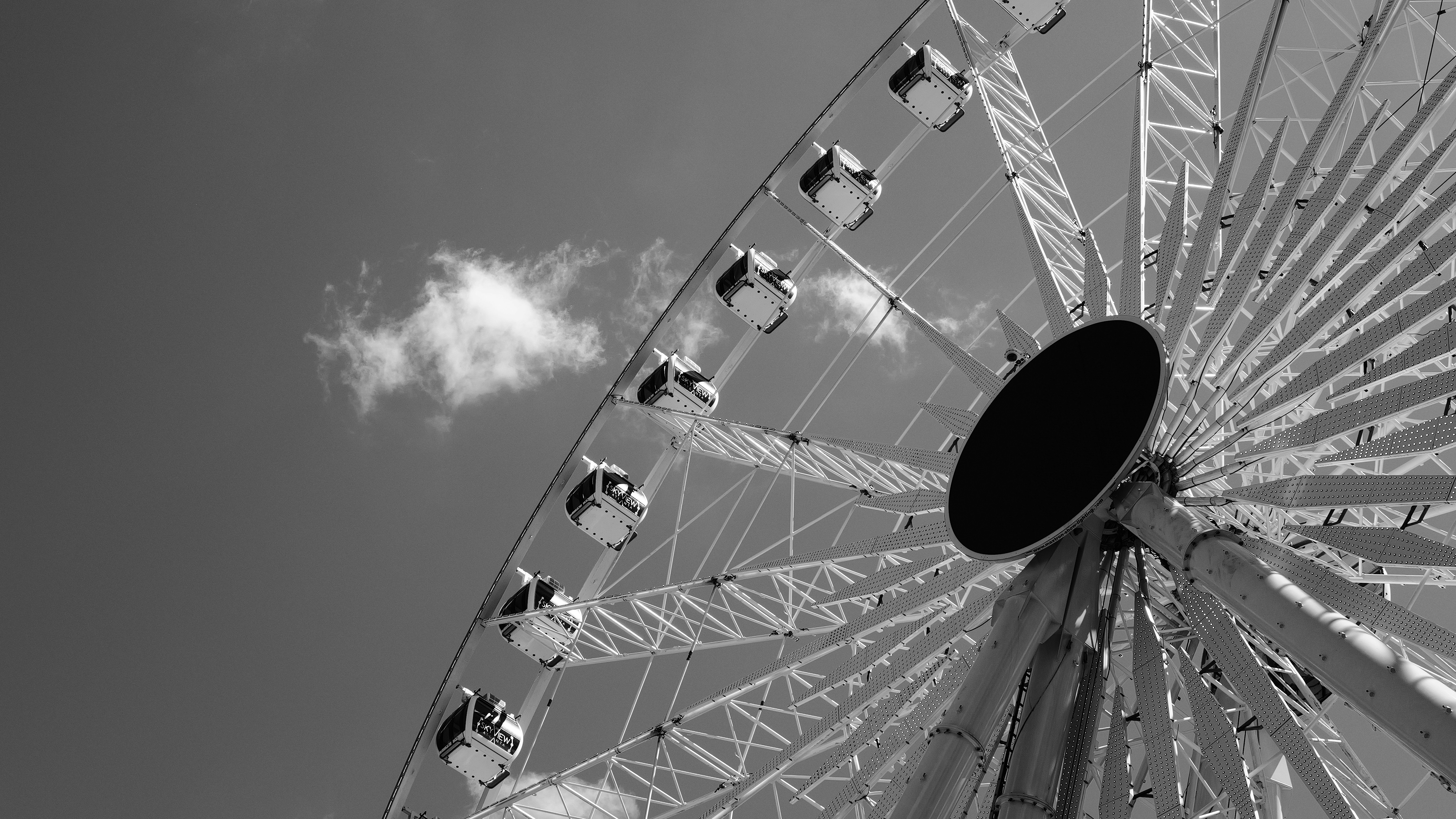 Photo by _zash_capturing