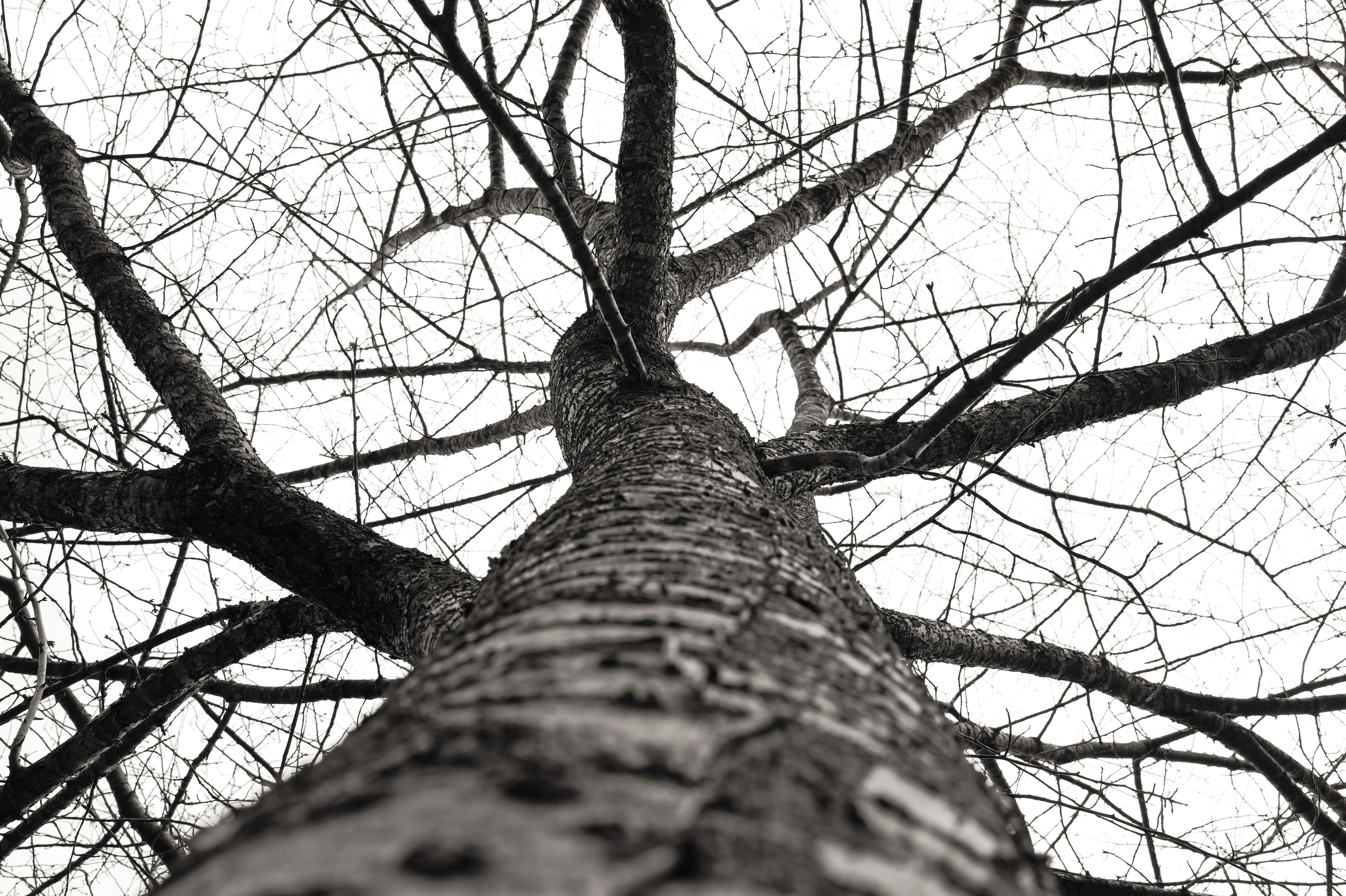 Photo by _zash_capturing