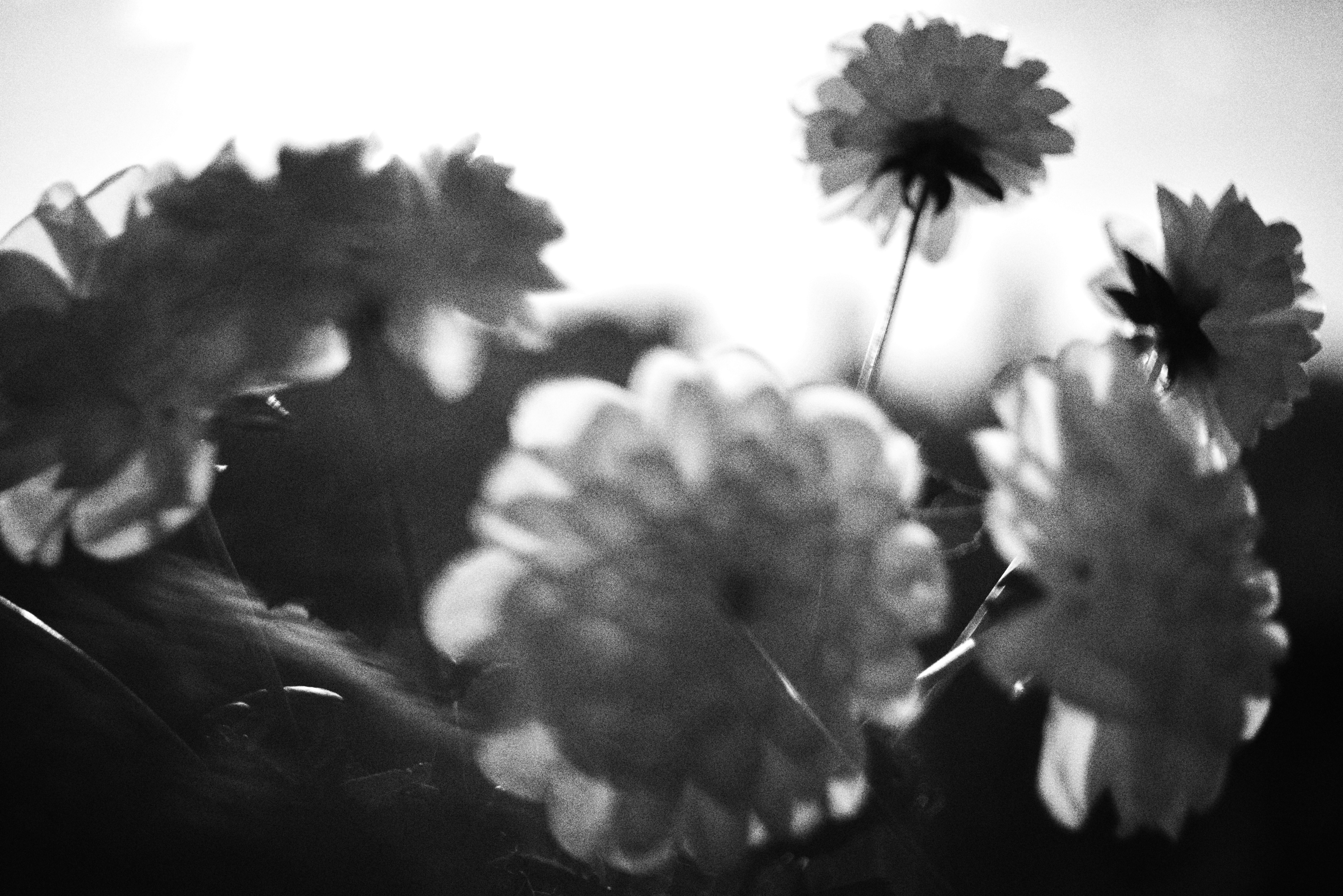 Photo by cherstve_pechivo