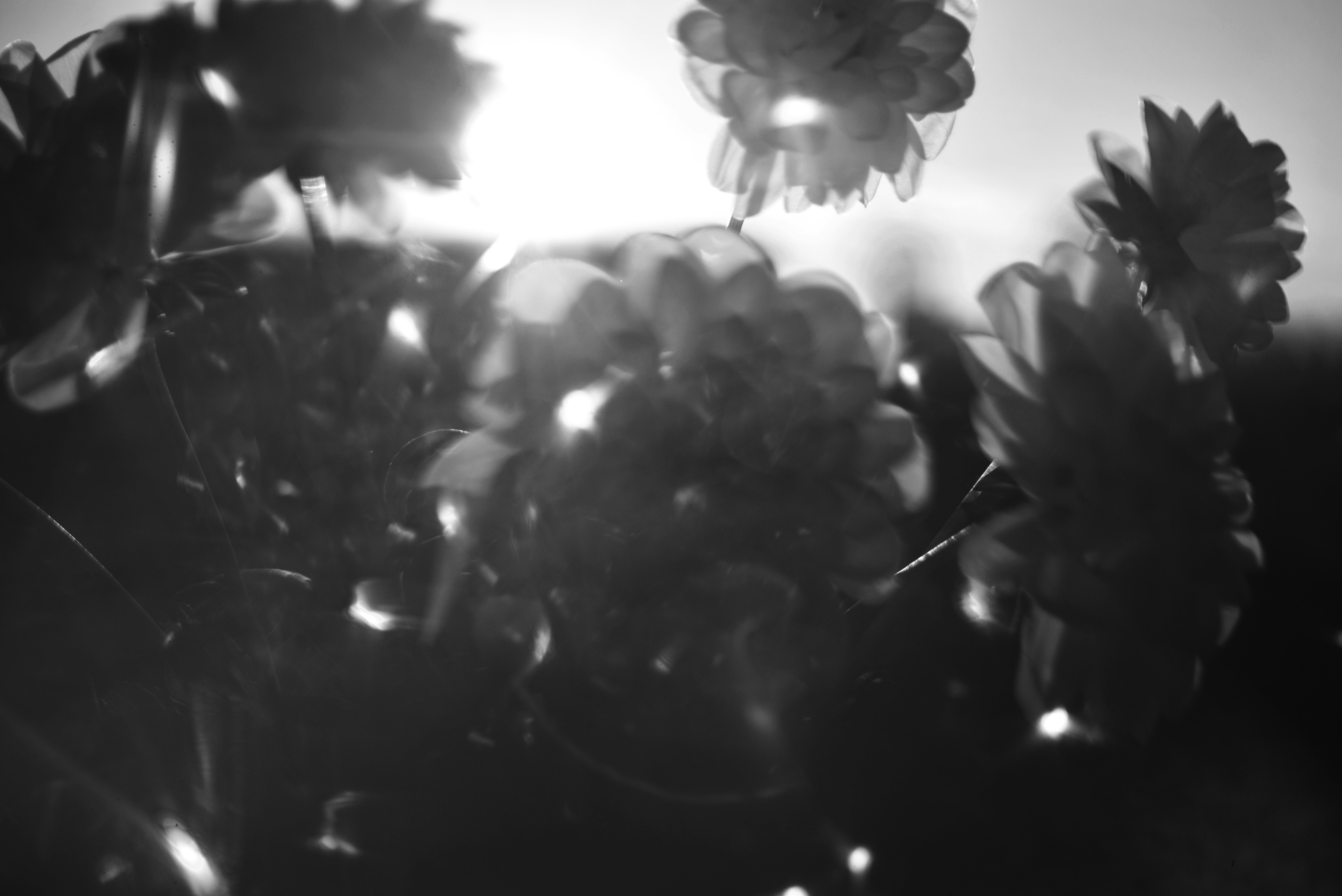 Photo by cherstve_pechivo