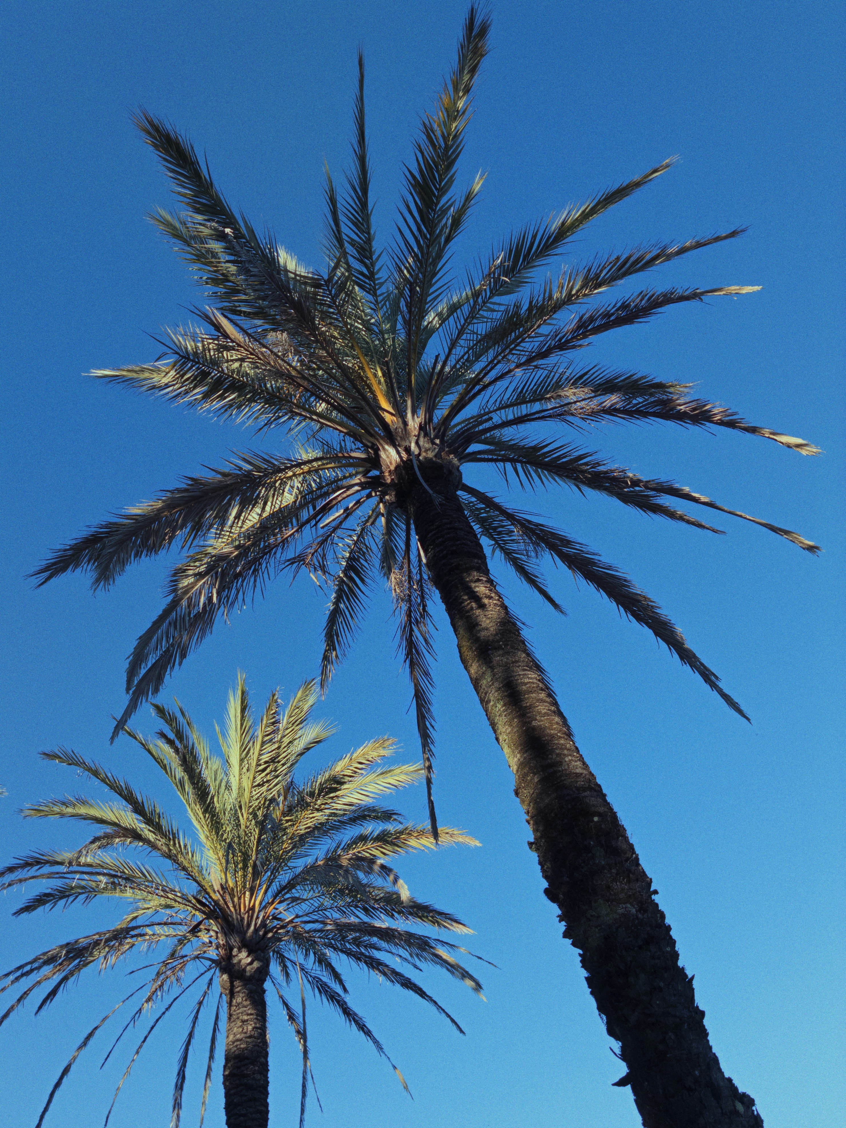 Photo by astashov_artem