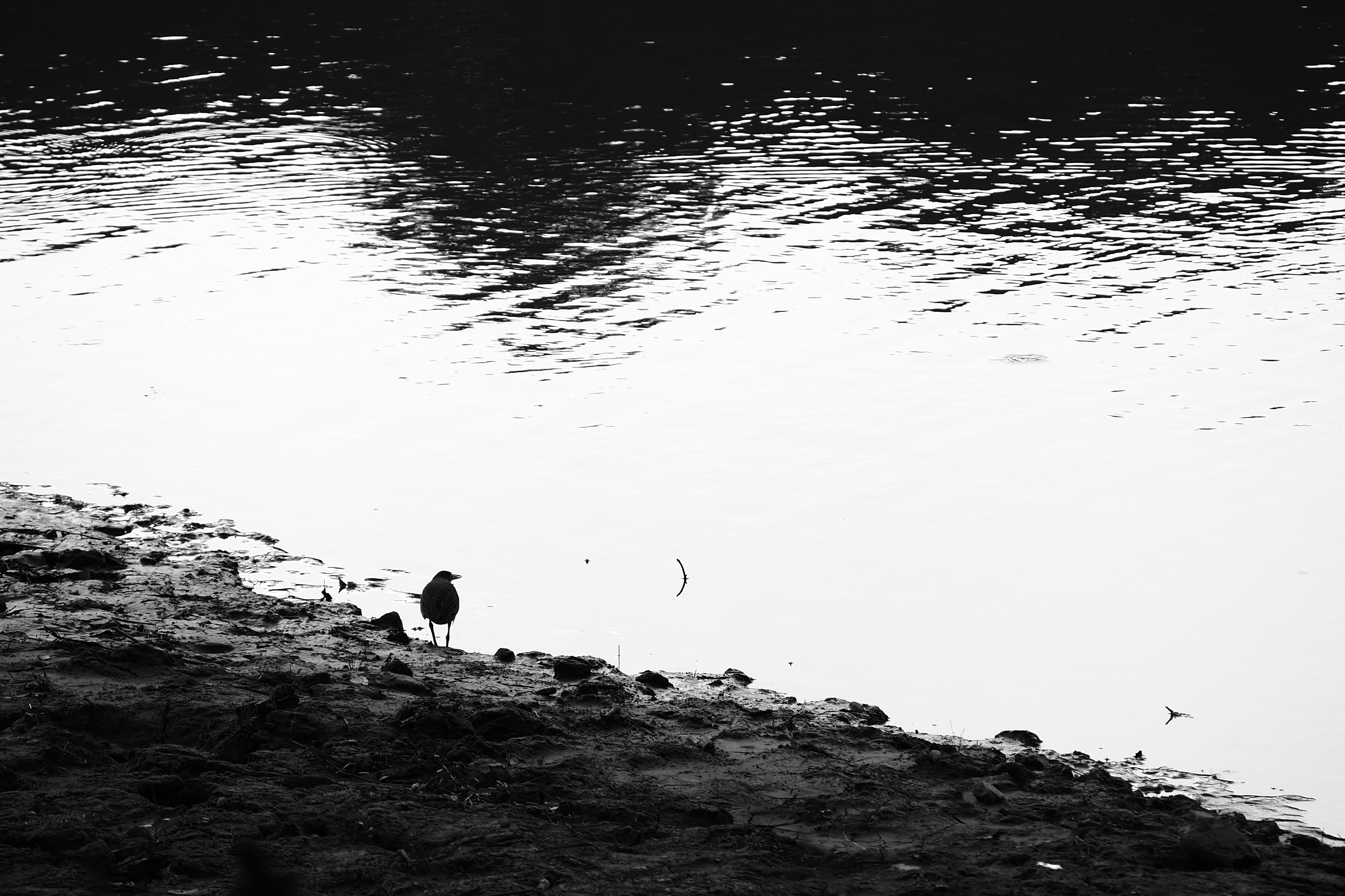Yalnızlığın getirdiği içsel derinliği ve kişinin kendiyle yüzleşmesini temsil eden, aynadaki yansımasına dingin bir şekilde bakan bir figürün sanatsal görüntüsü.