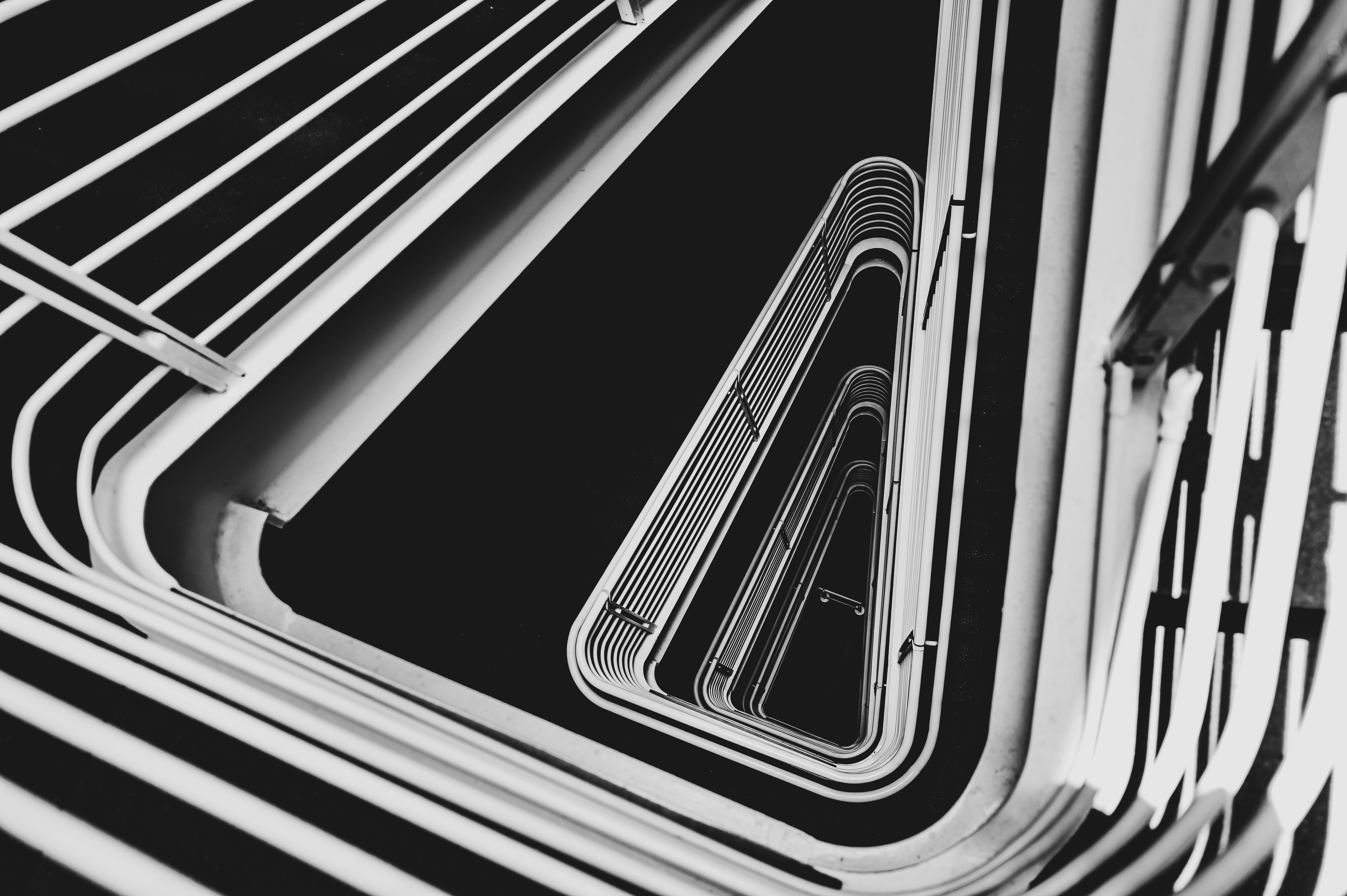 Photo by _zash_capturing