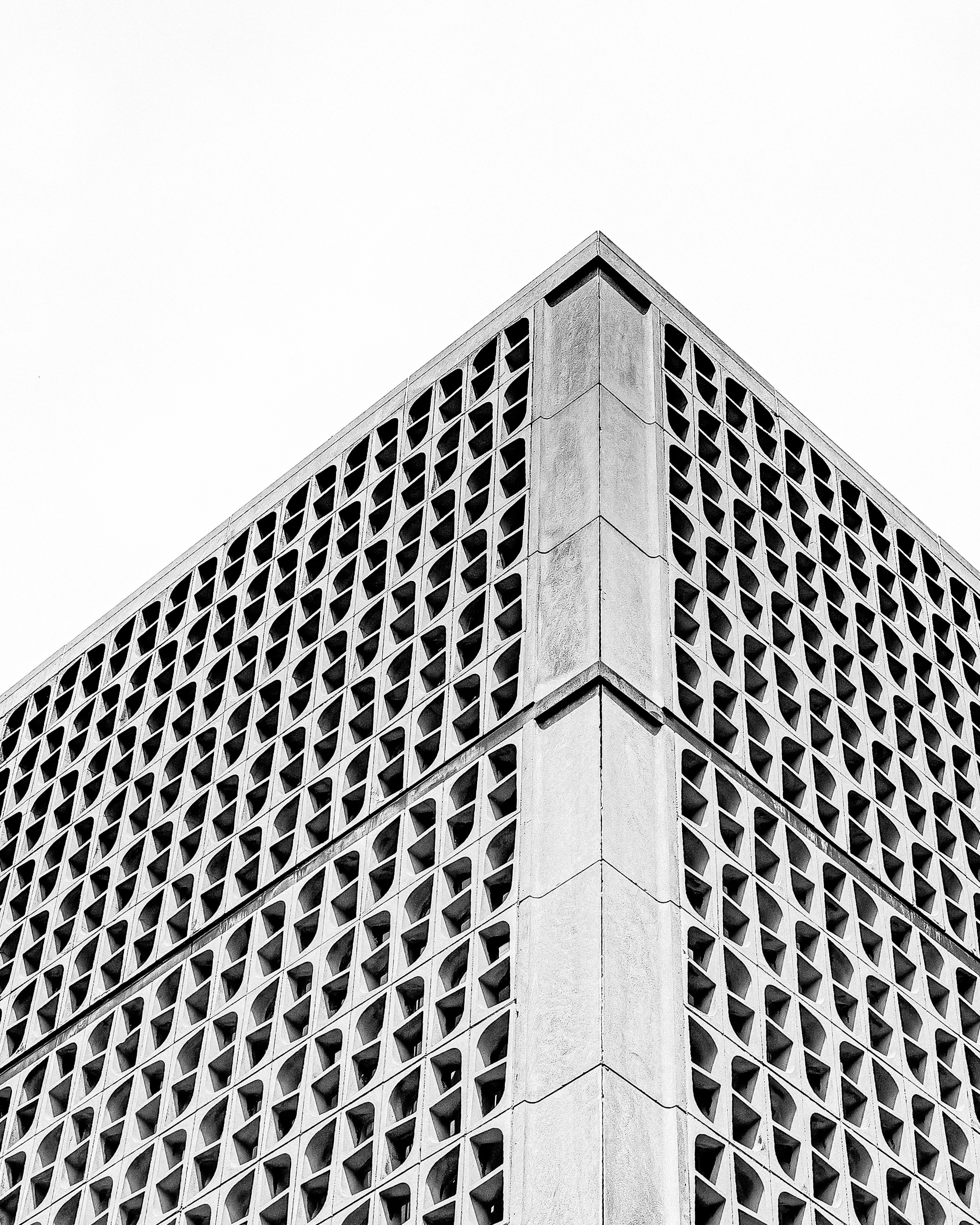 Photo by _zash_capturing