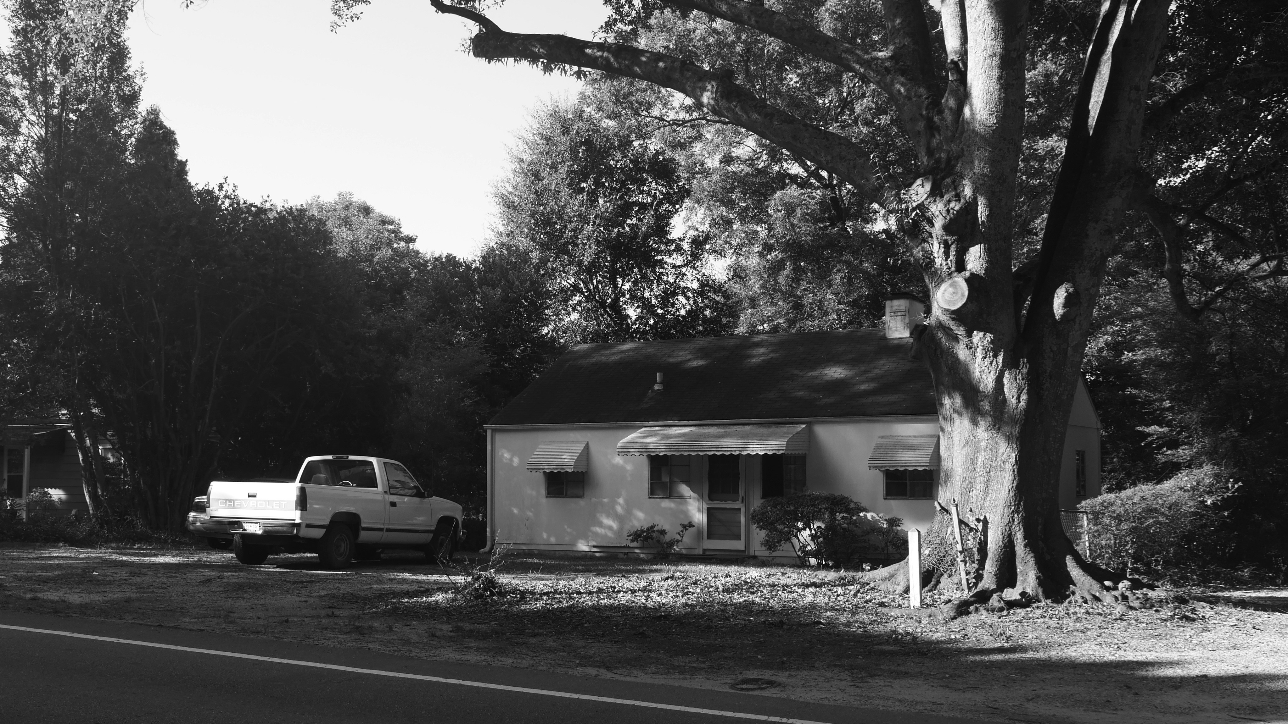 Photo by _zash_capturing