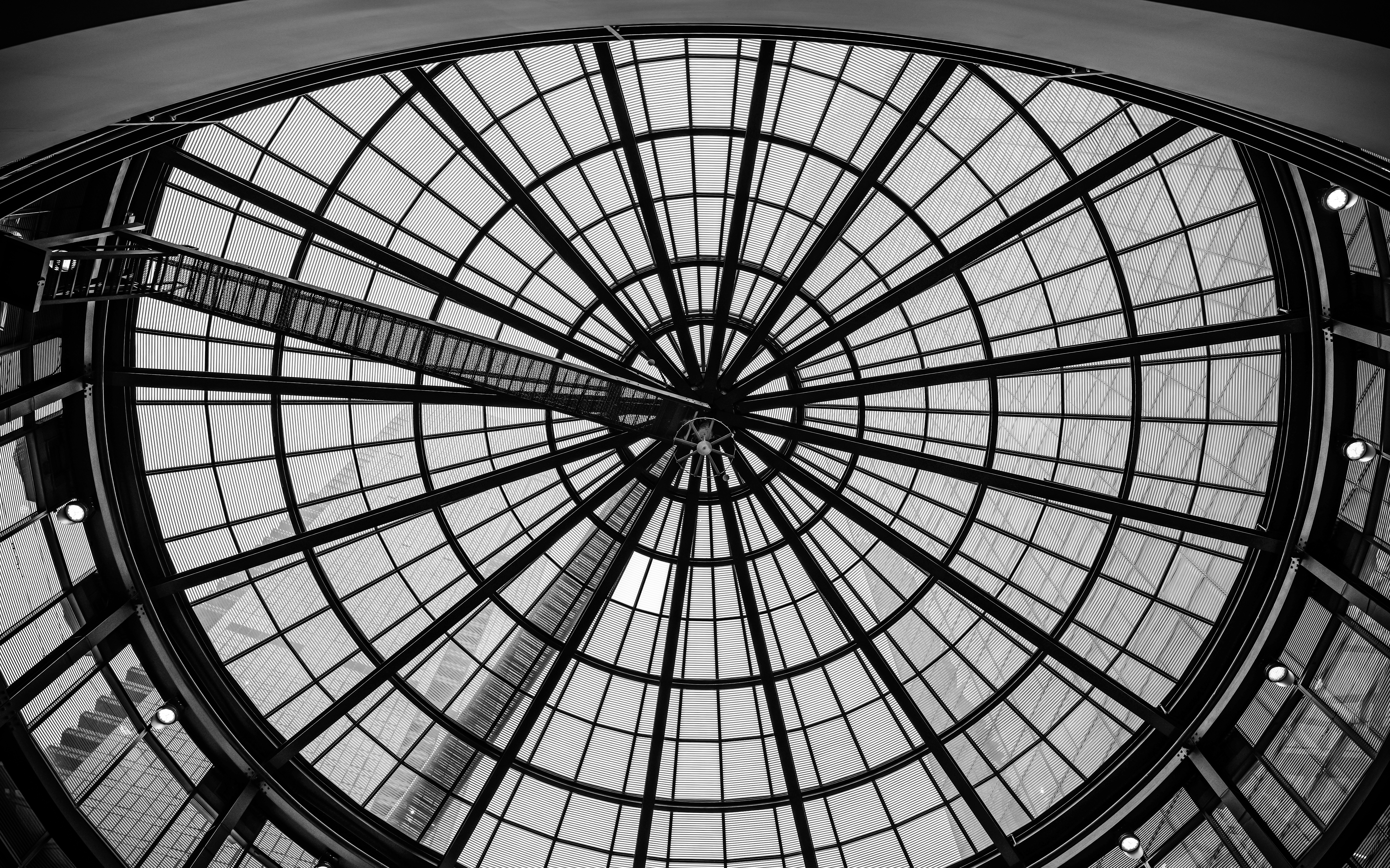 Photo by _zash_capturing