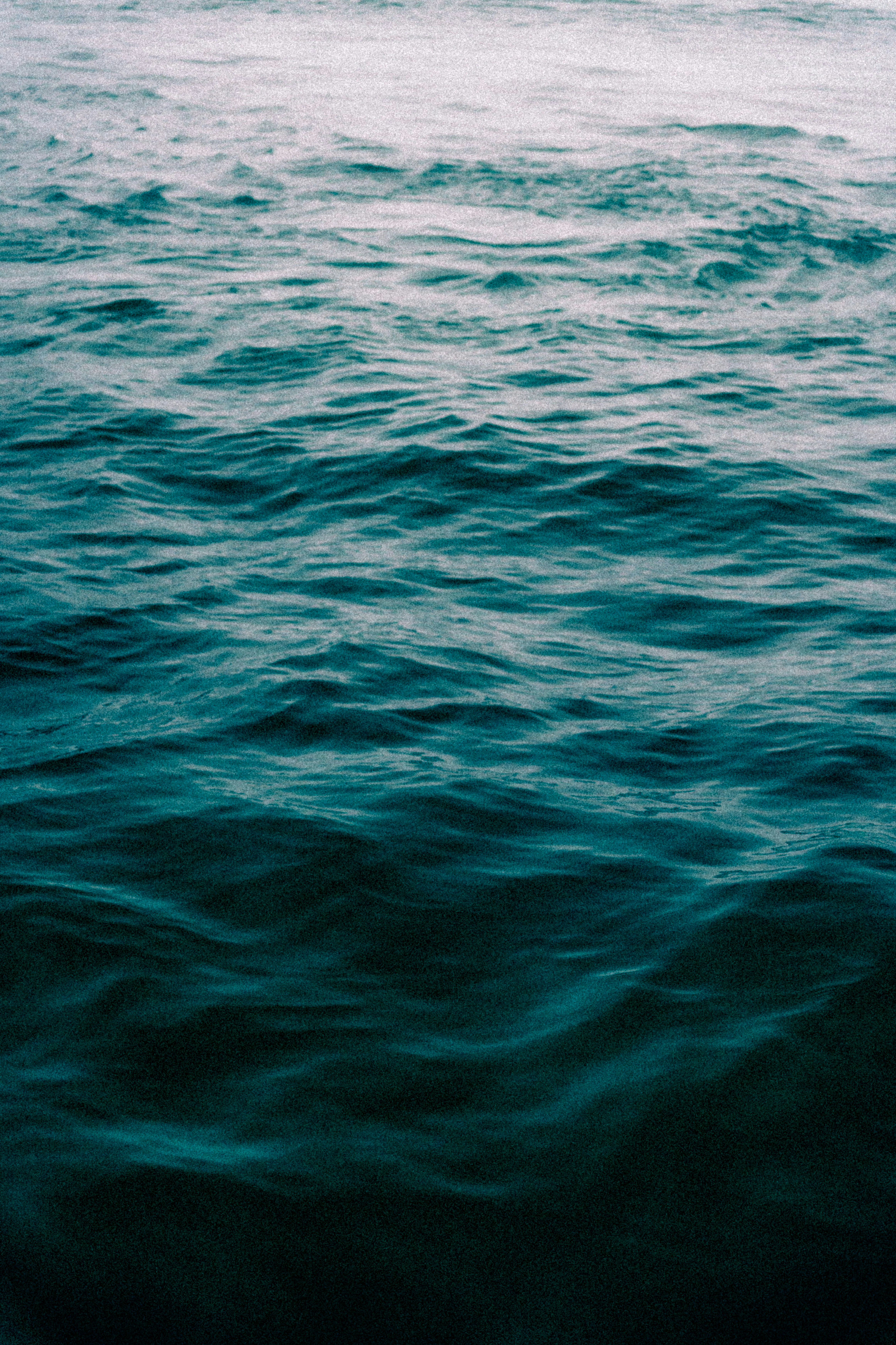 Photo by andrei11948