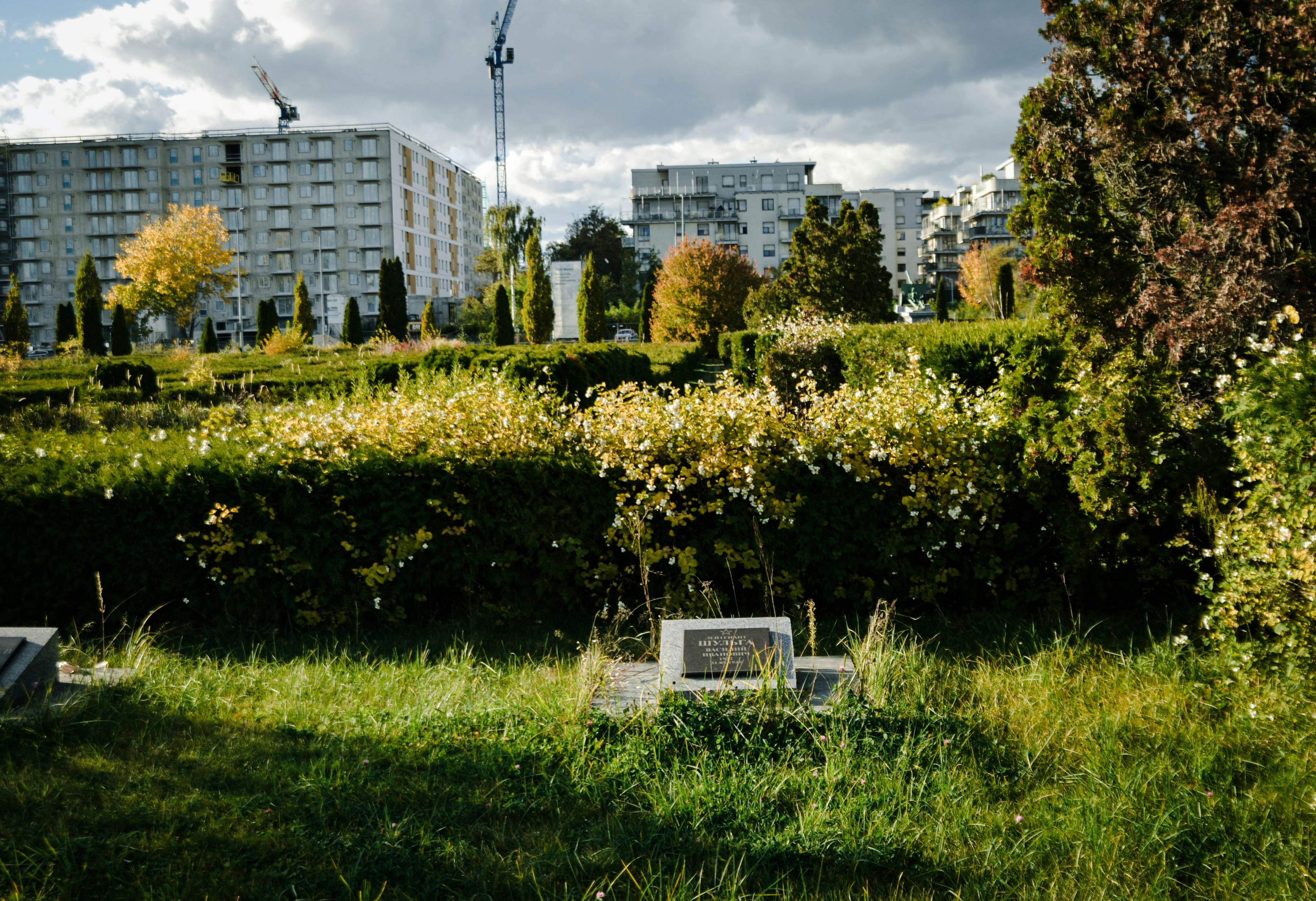 Construction site with trees