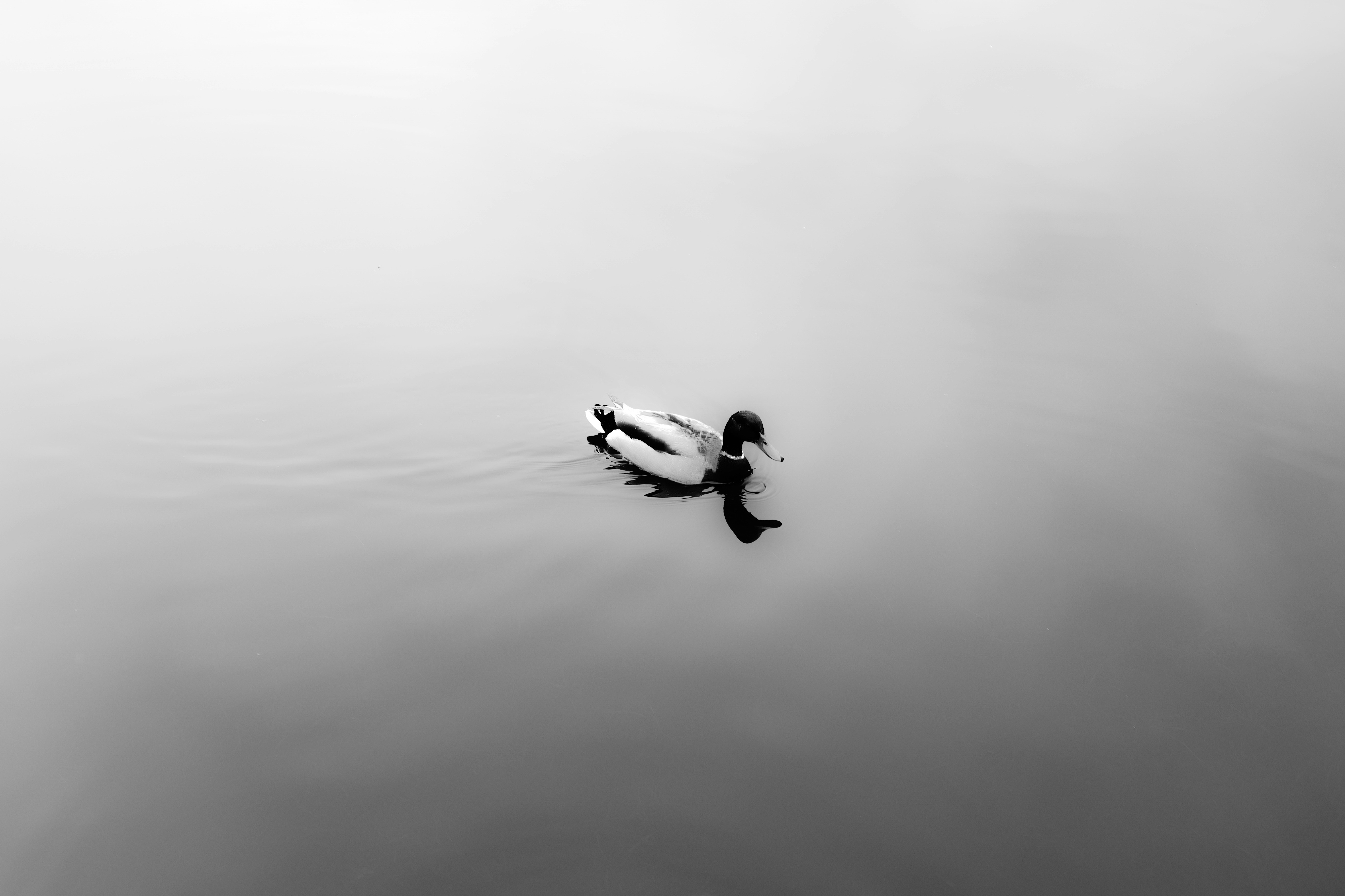 Photo by _zash_capturing