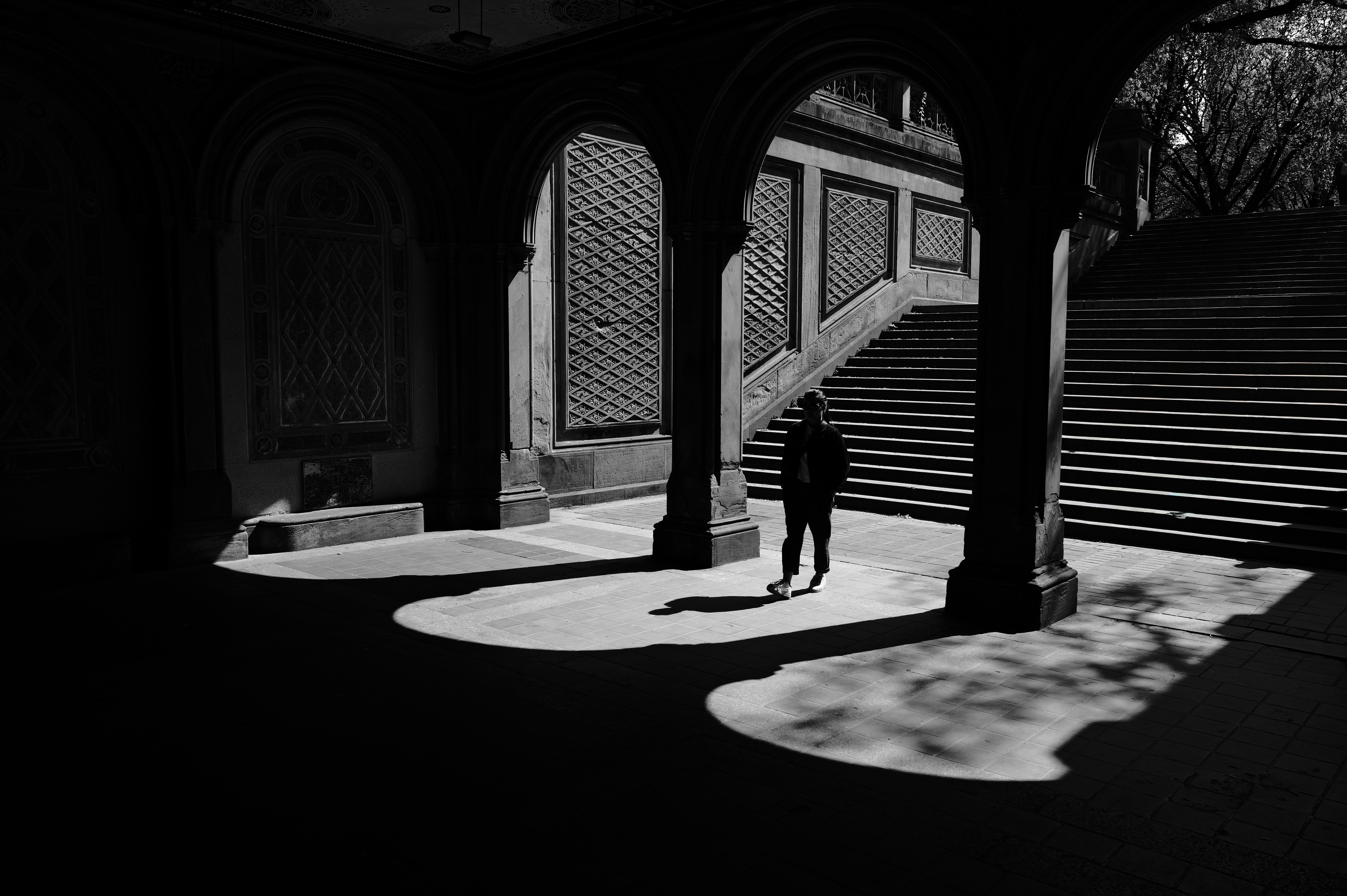 Photo by _zash_capturing