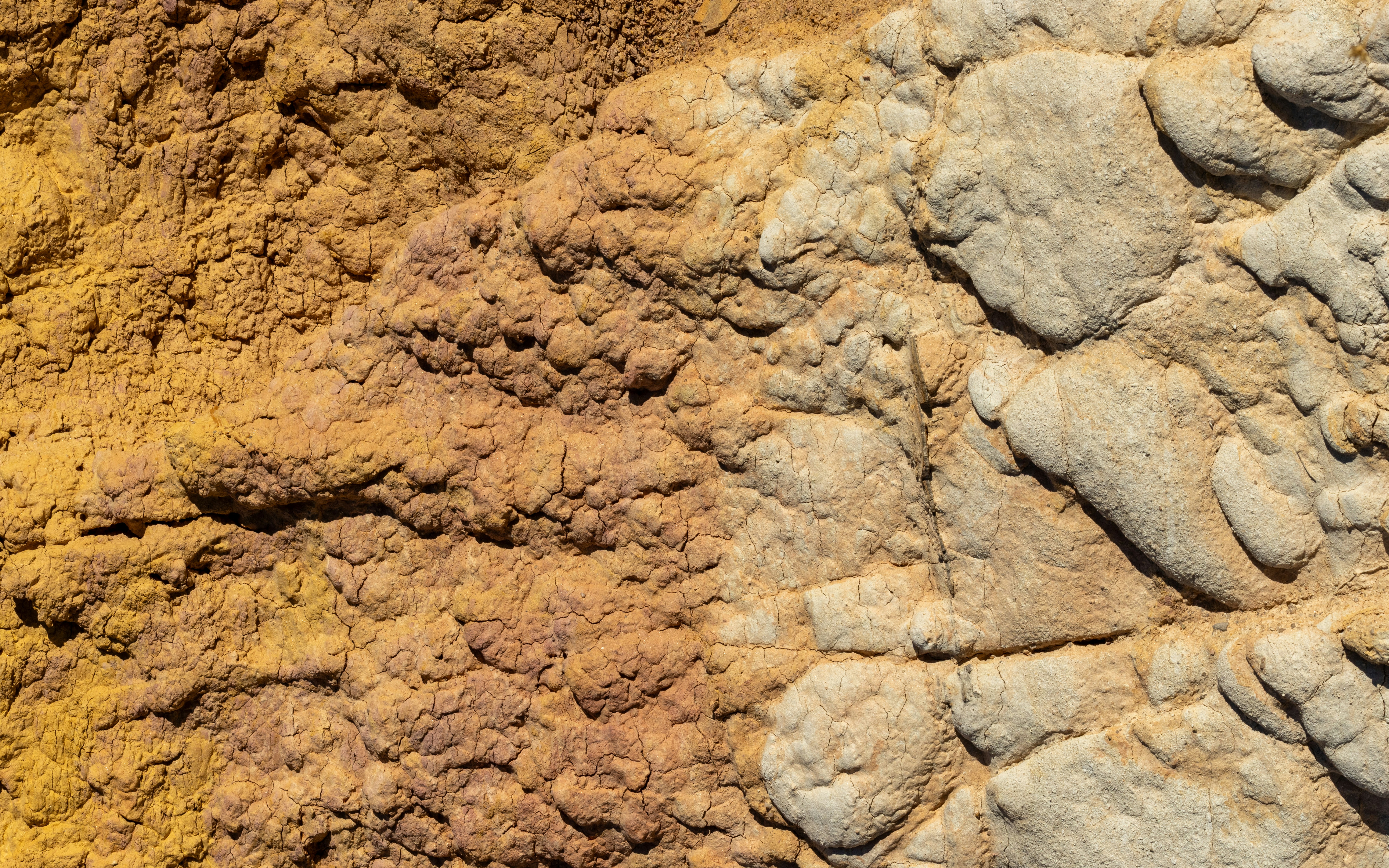 Photo by brandonstoll