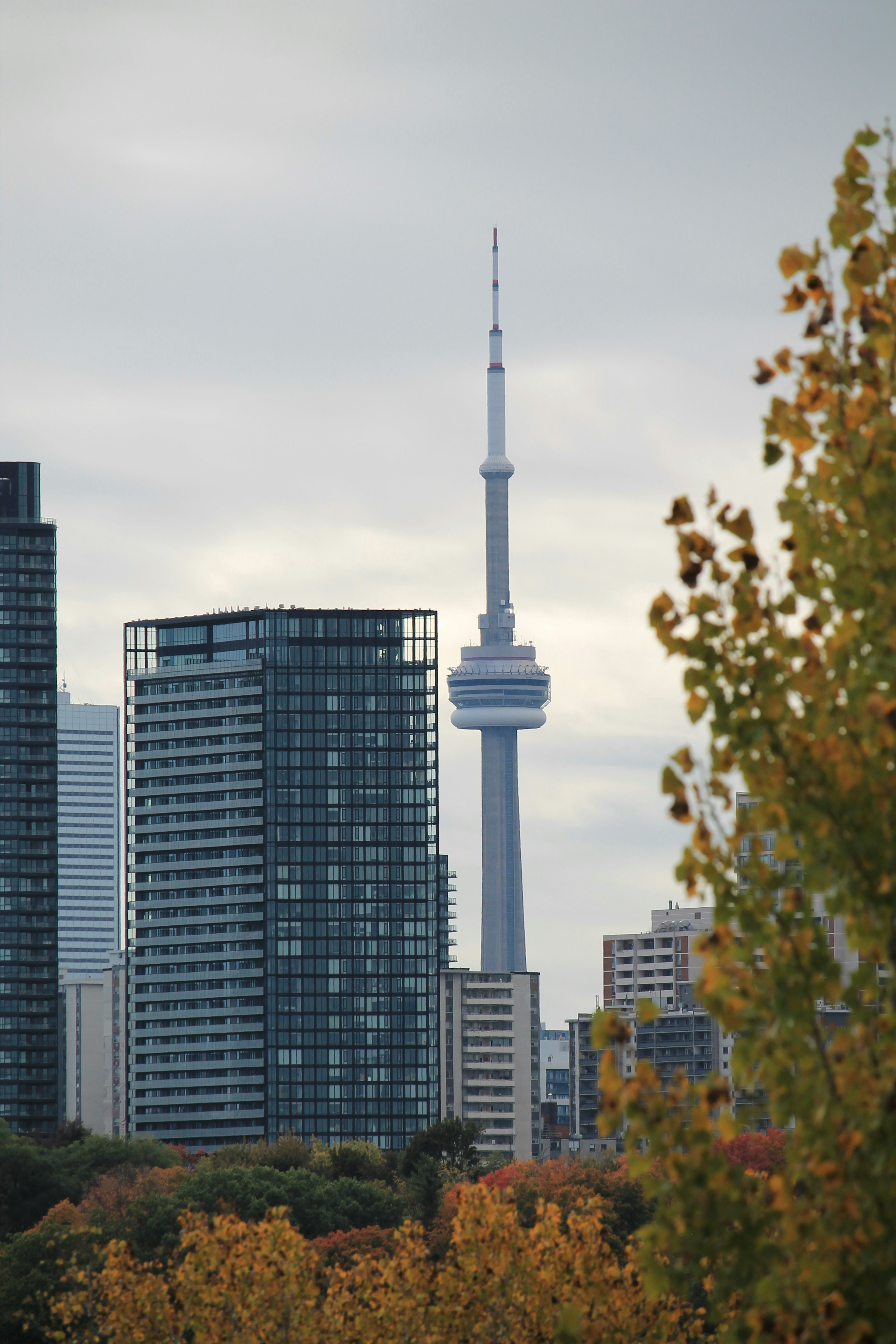Toronto skyline with cn tower and autumn trees