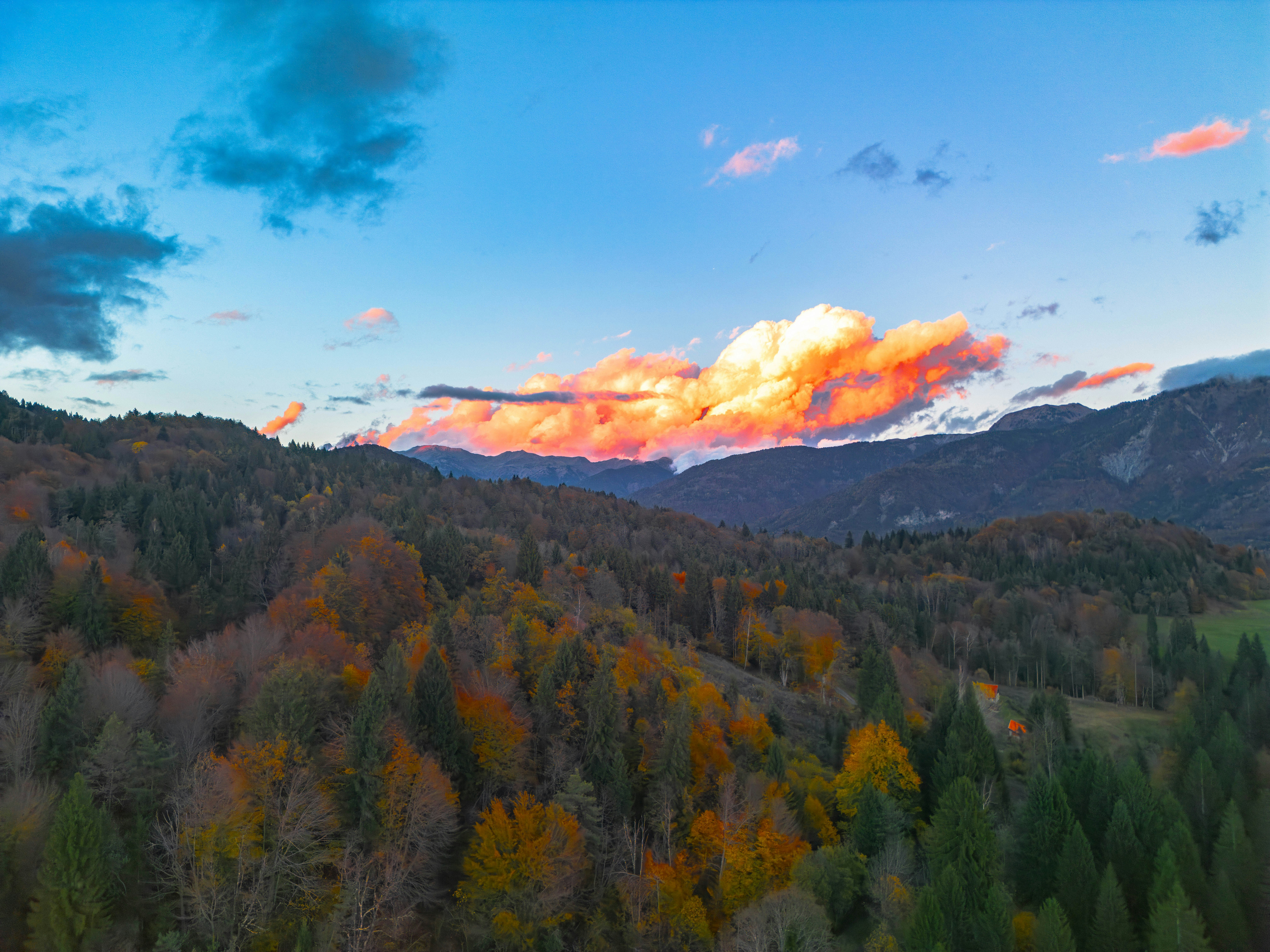 Photo by merlin_photo