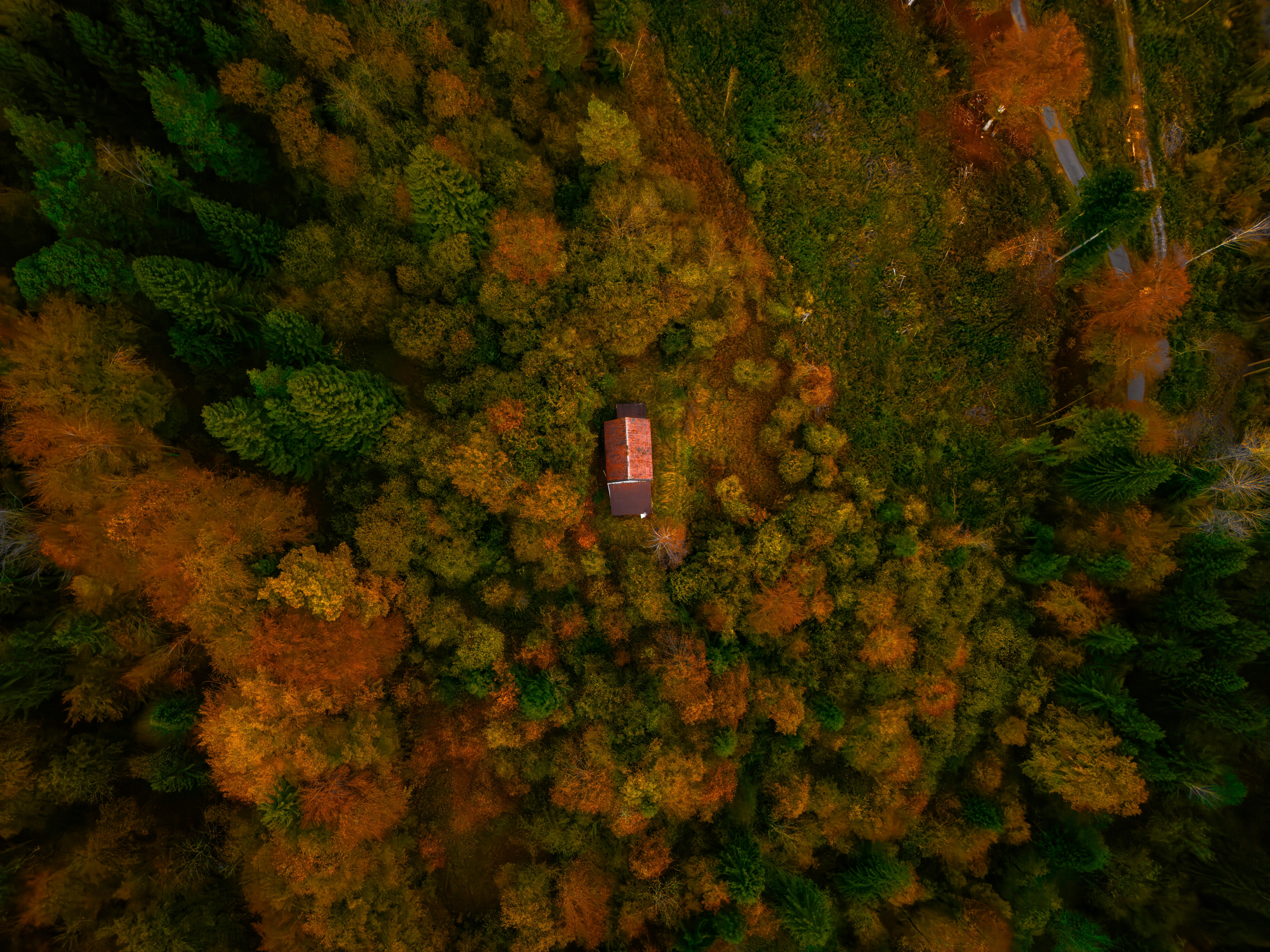 Photo by merlin_photo