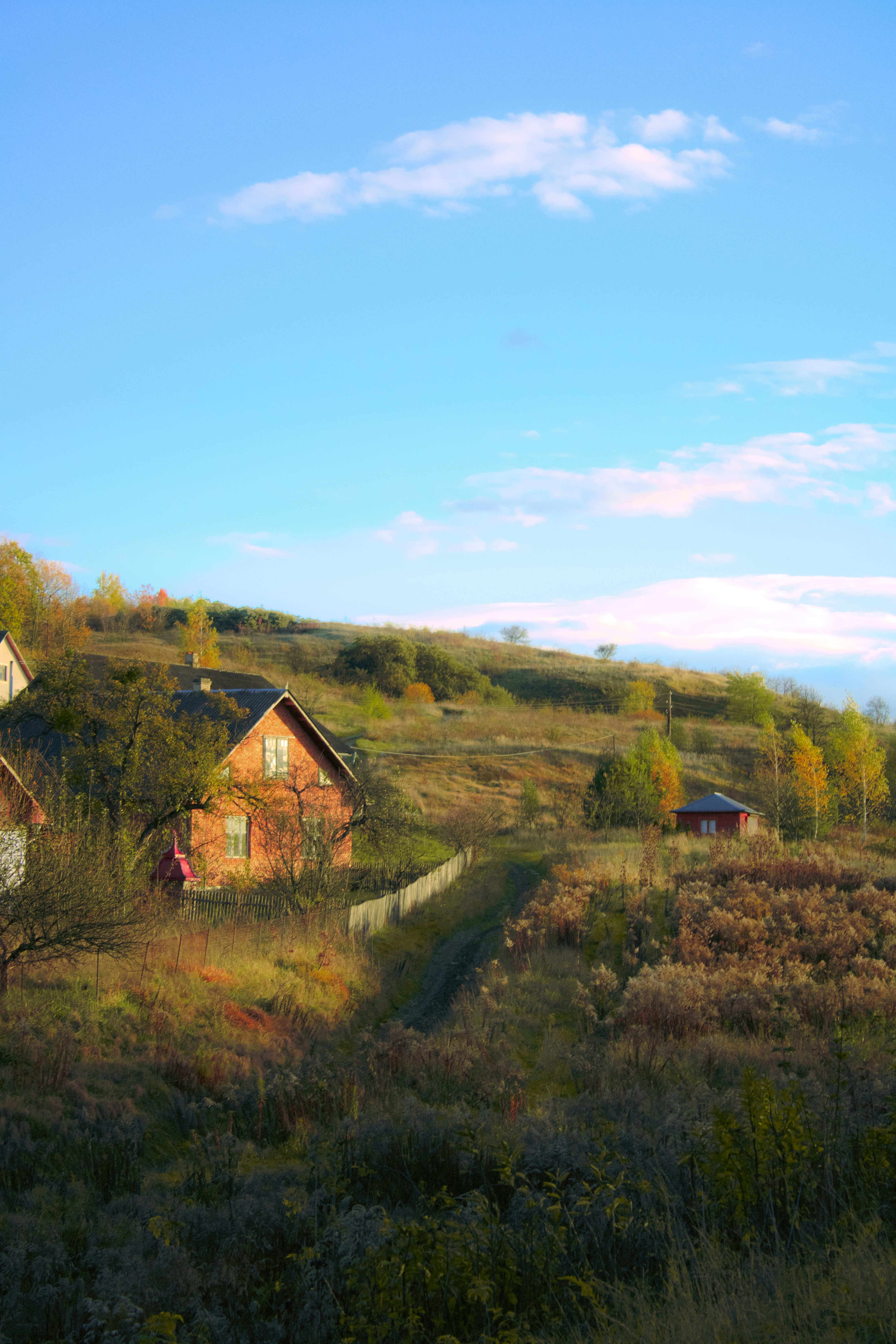 Photo by kolesnykyan