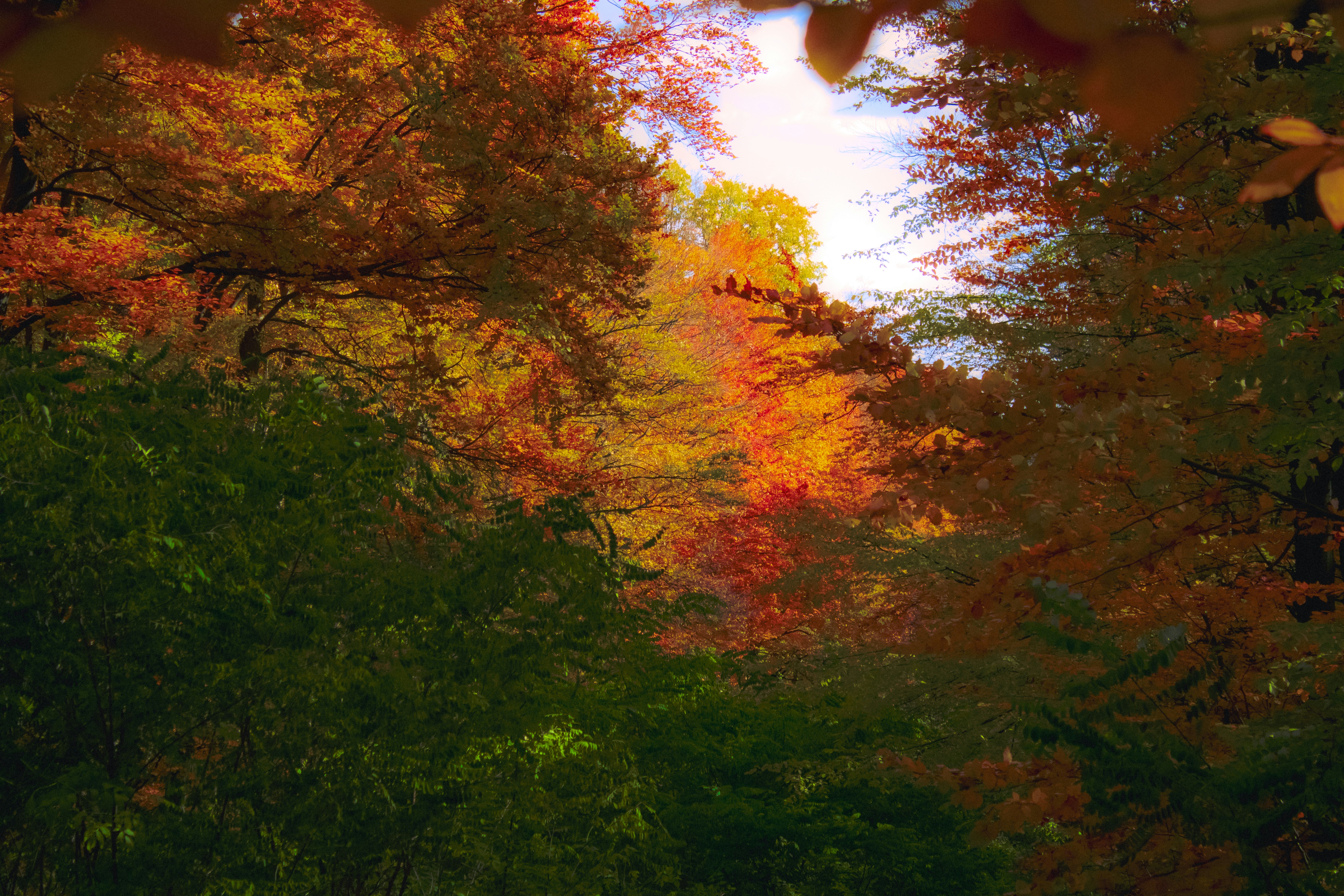 Photo by kolesnykyan