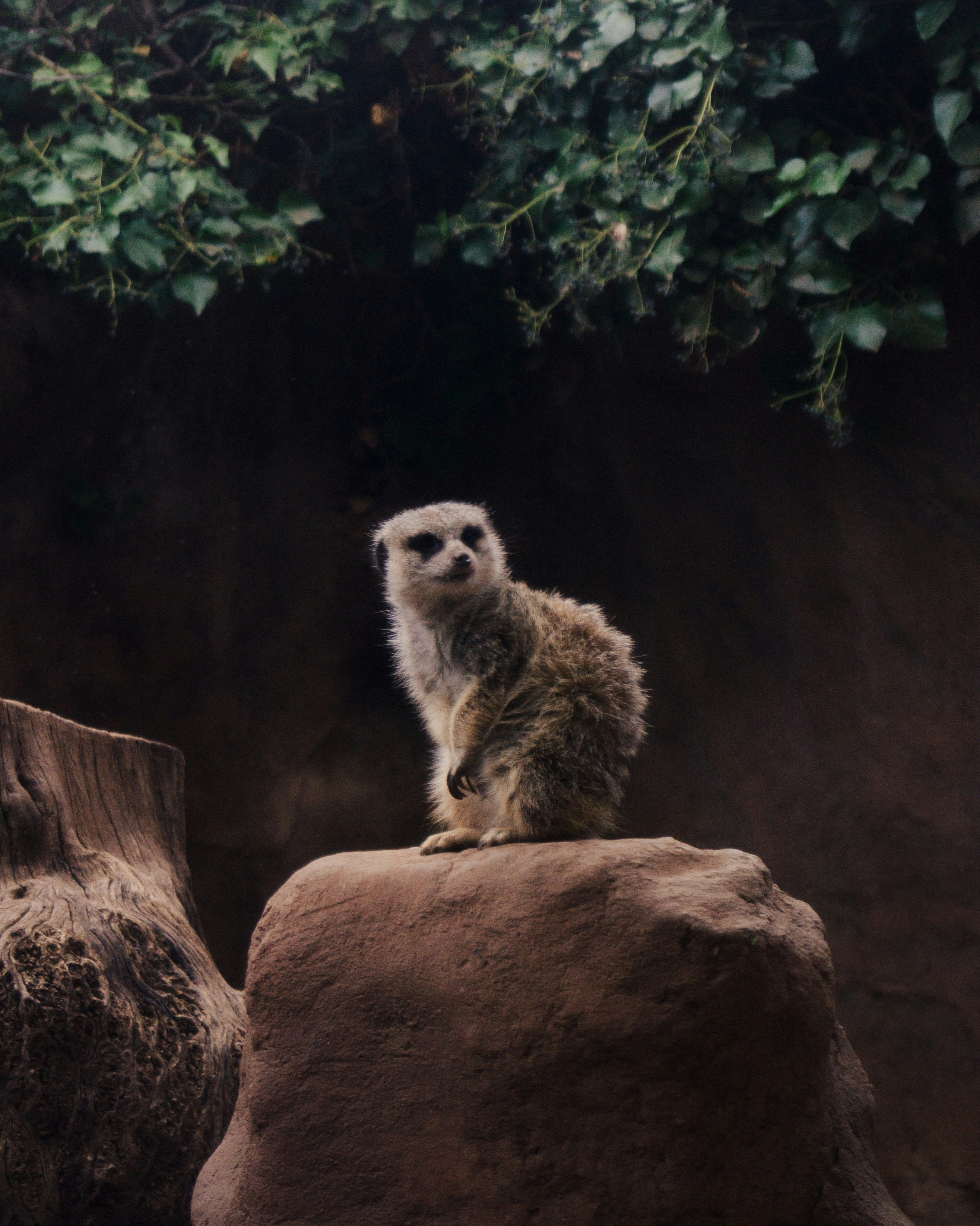 Photo by oscargumera01