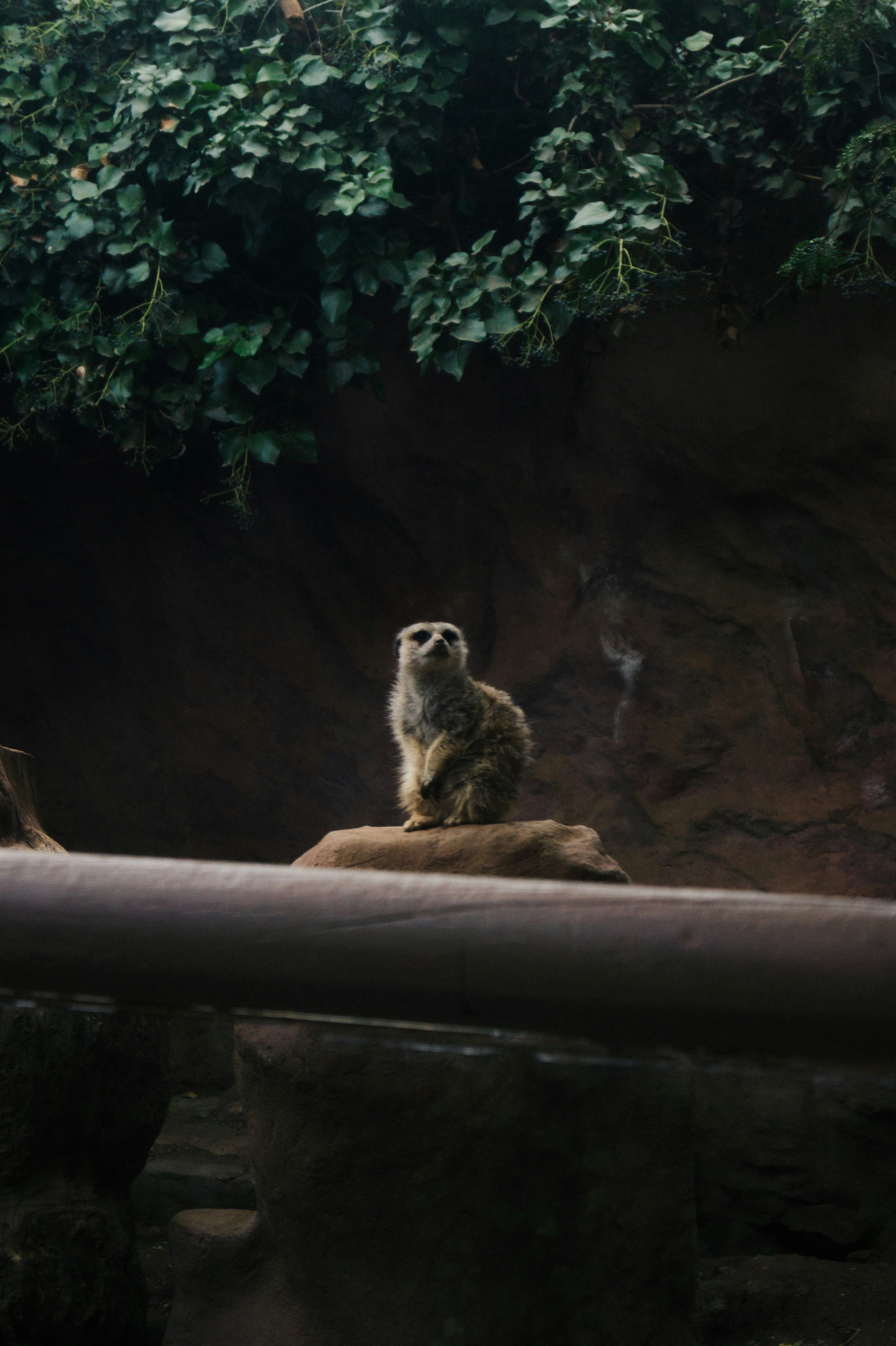 Photo by oscargumera01