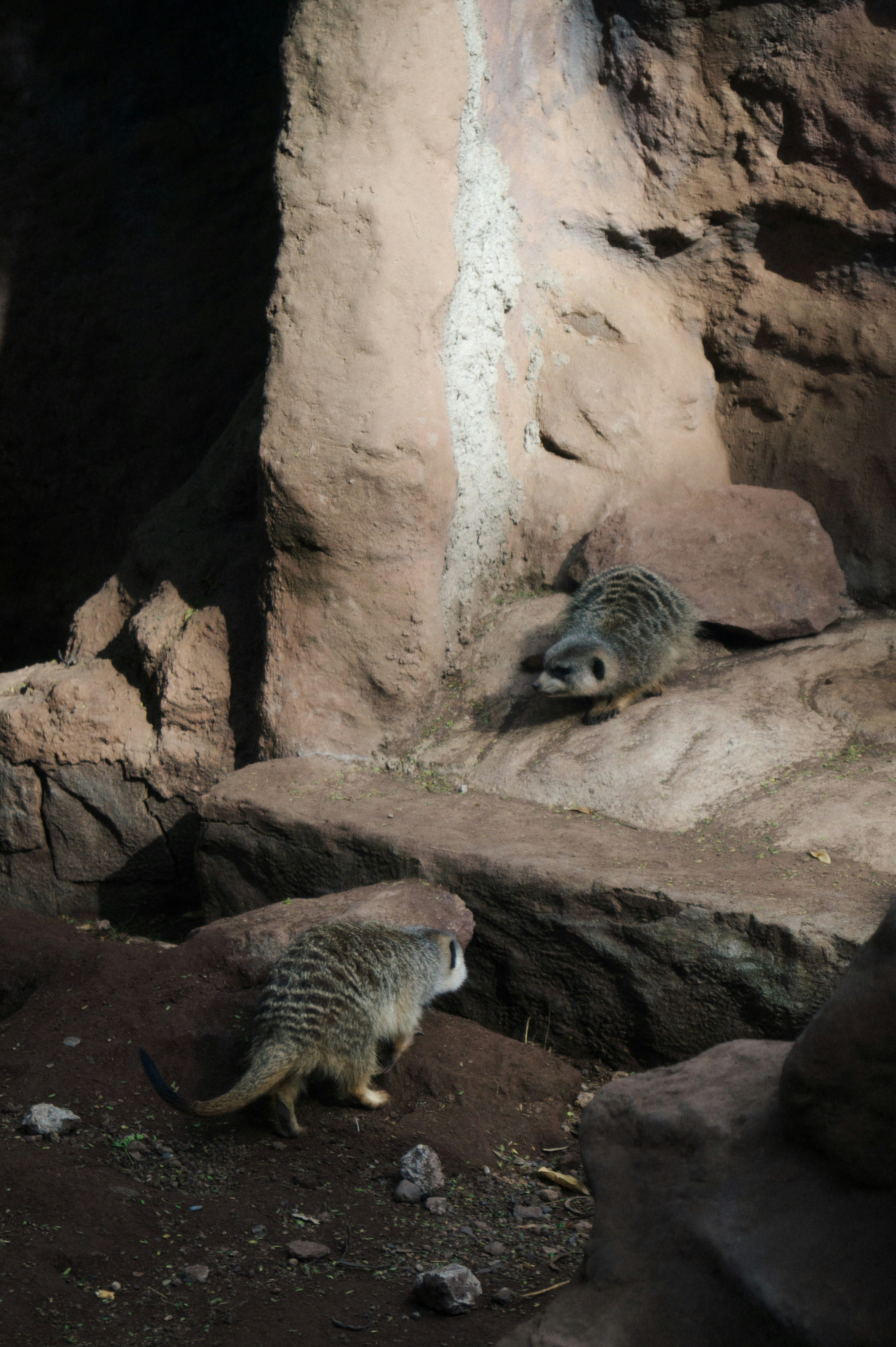 Photo by oscargumera01