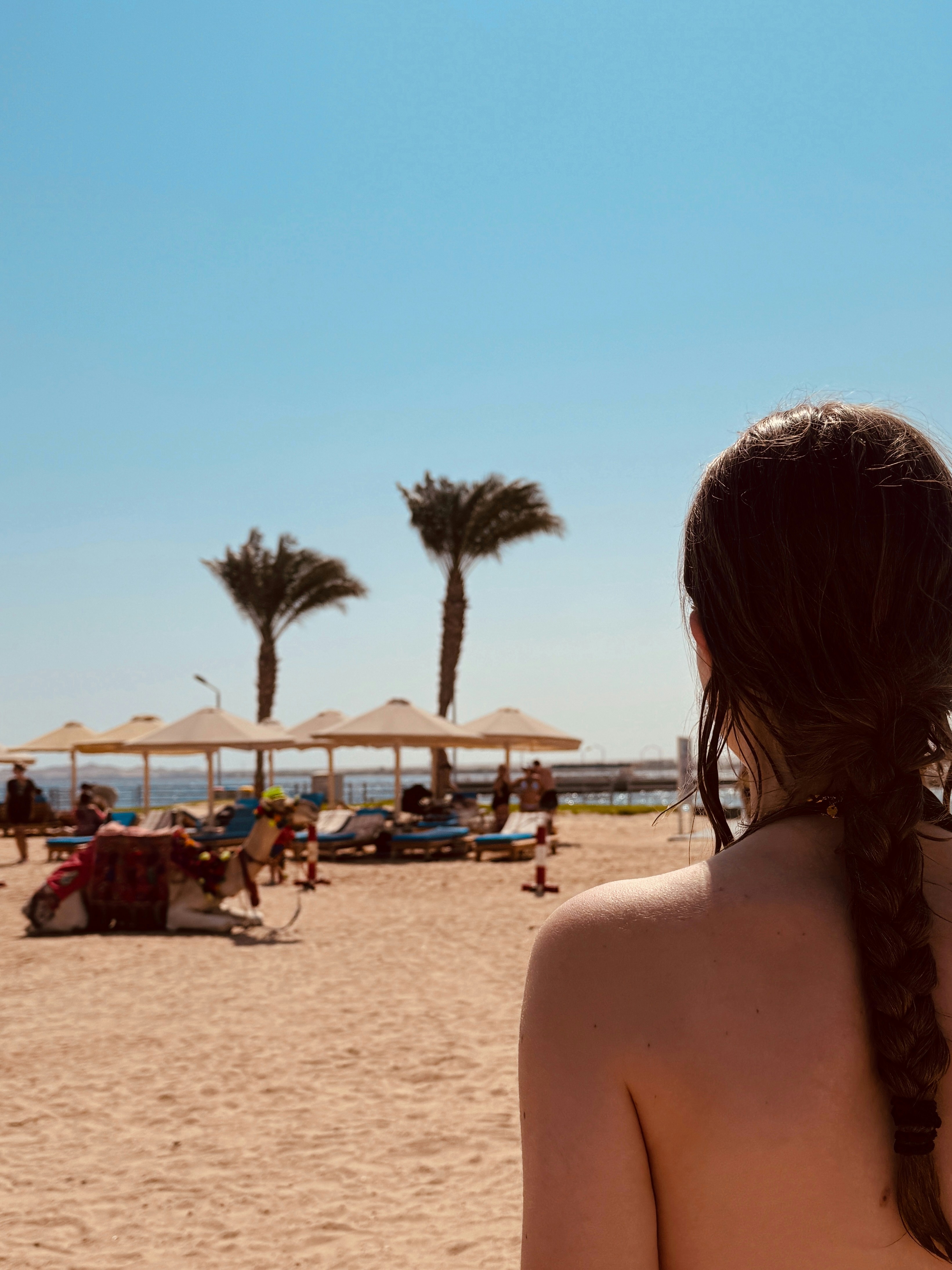 A woman with braided hair on a sunny beach.
