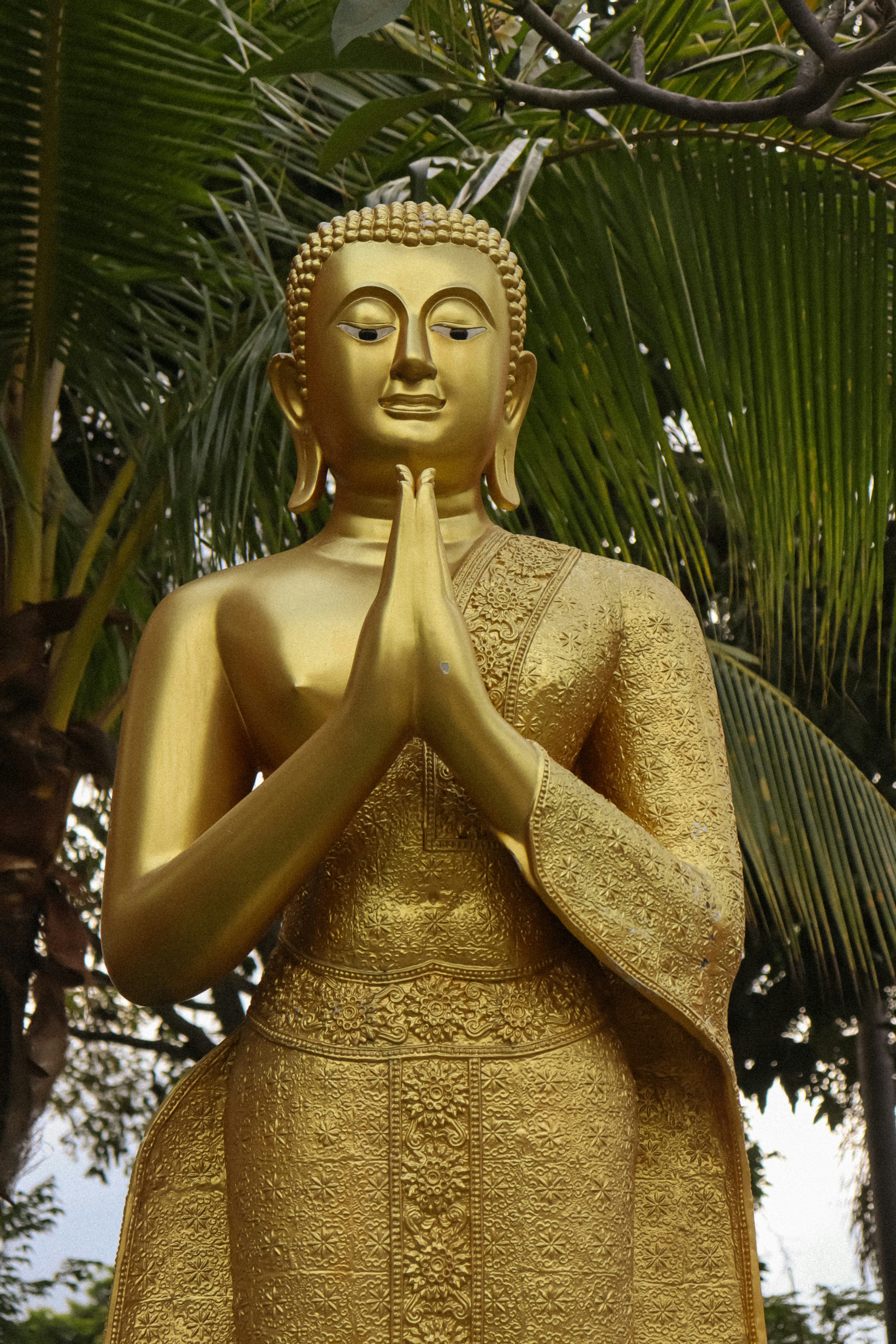 Photo by nicolearangolang