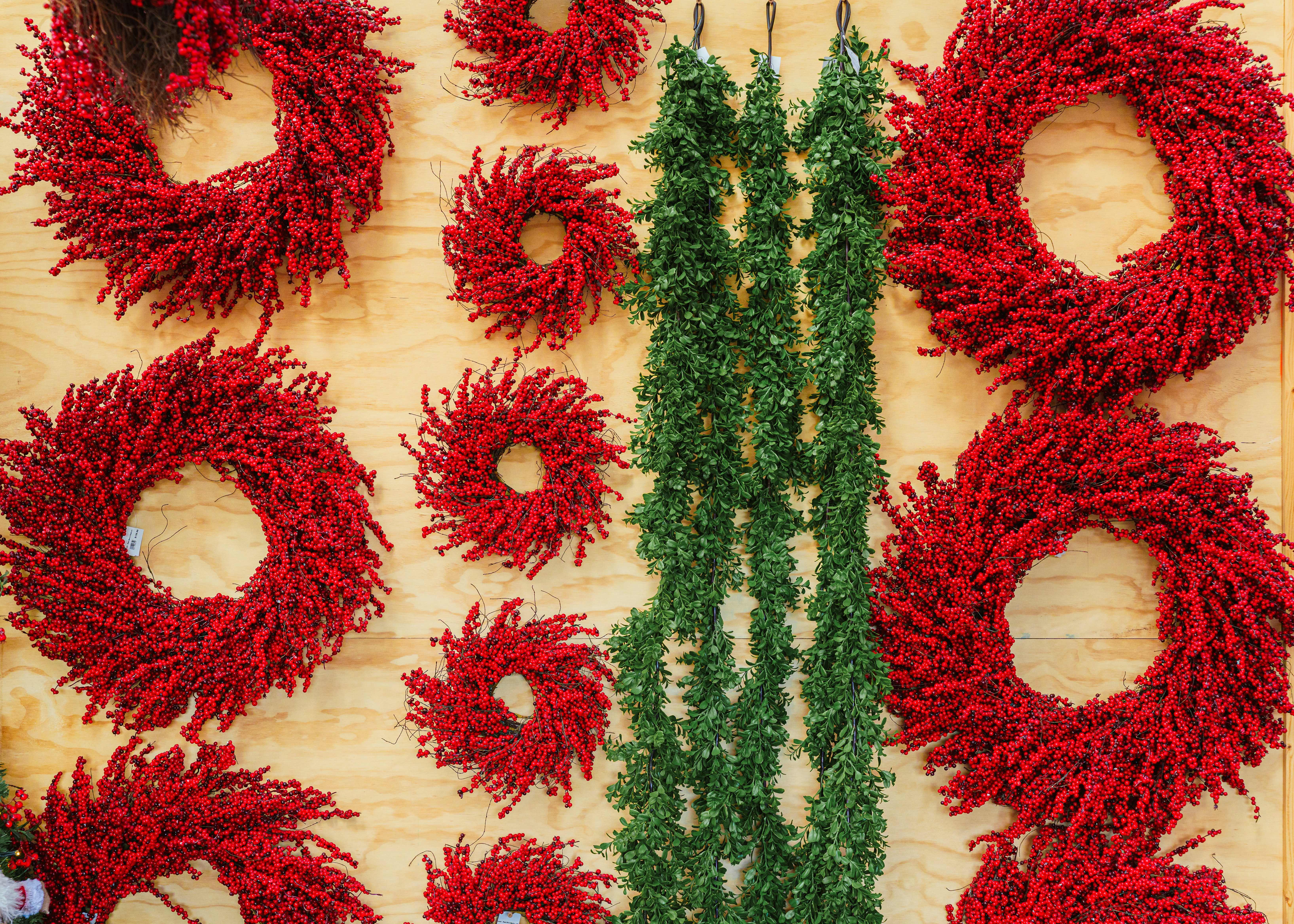 Assortment of red wreaths and green garlands displayed