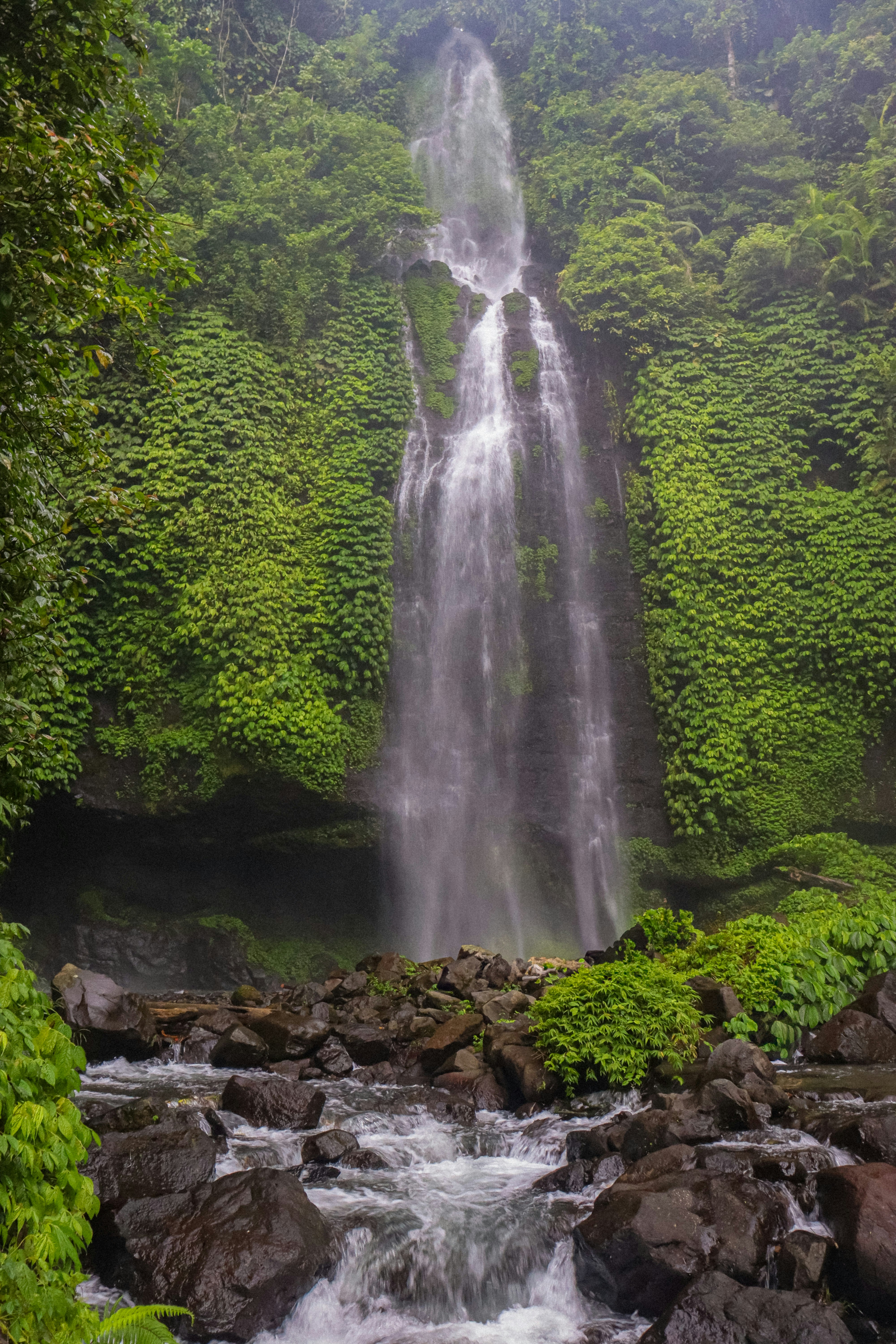 Photo by nicolearangolang