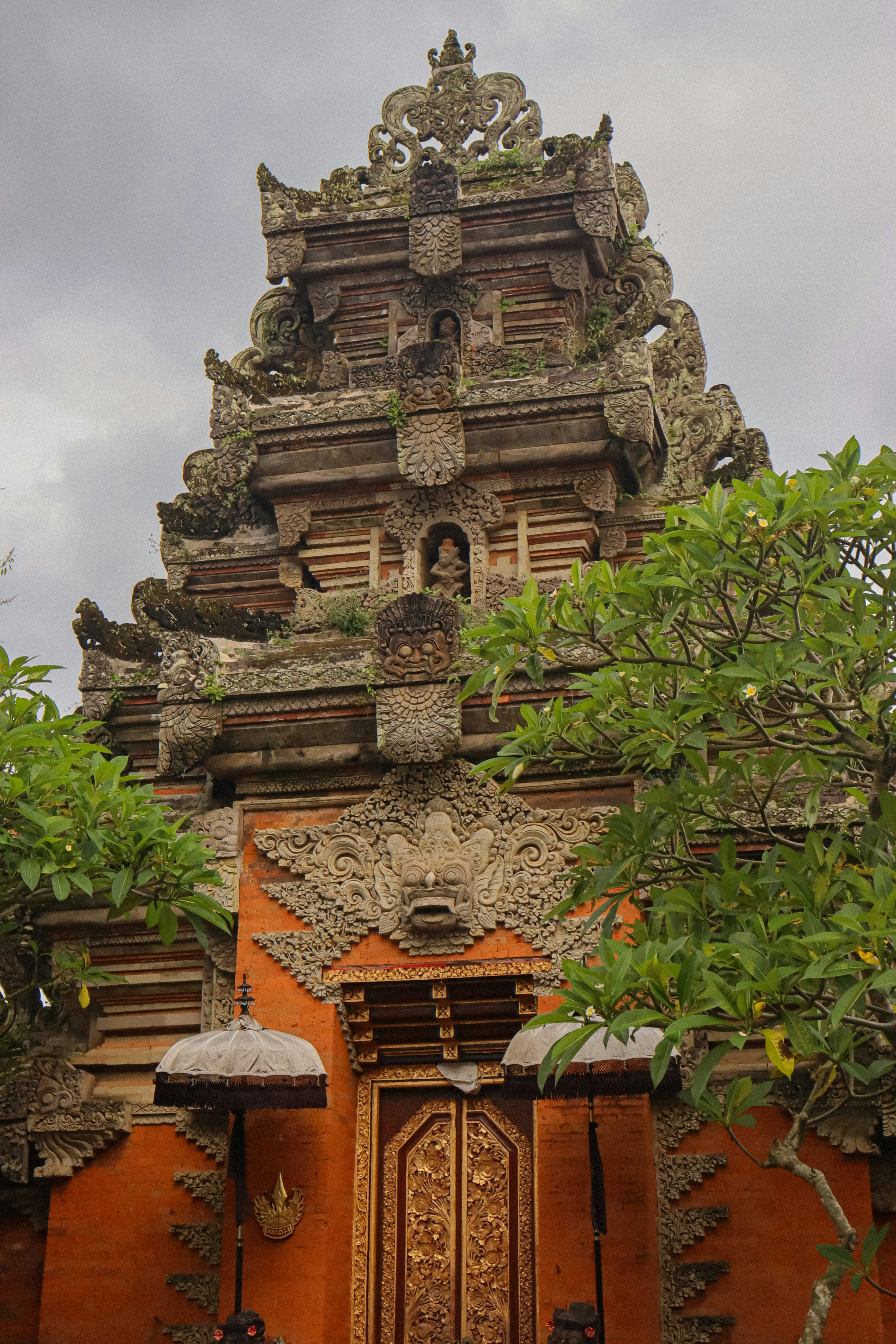 Photo by nicolearangolang