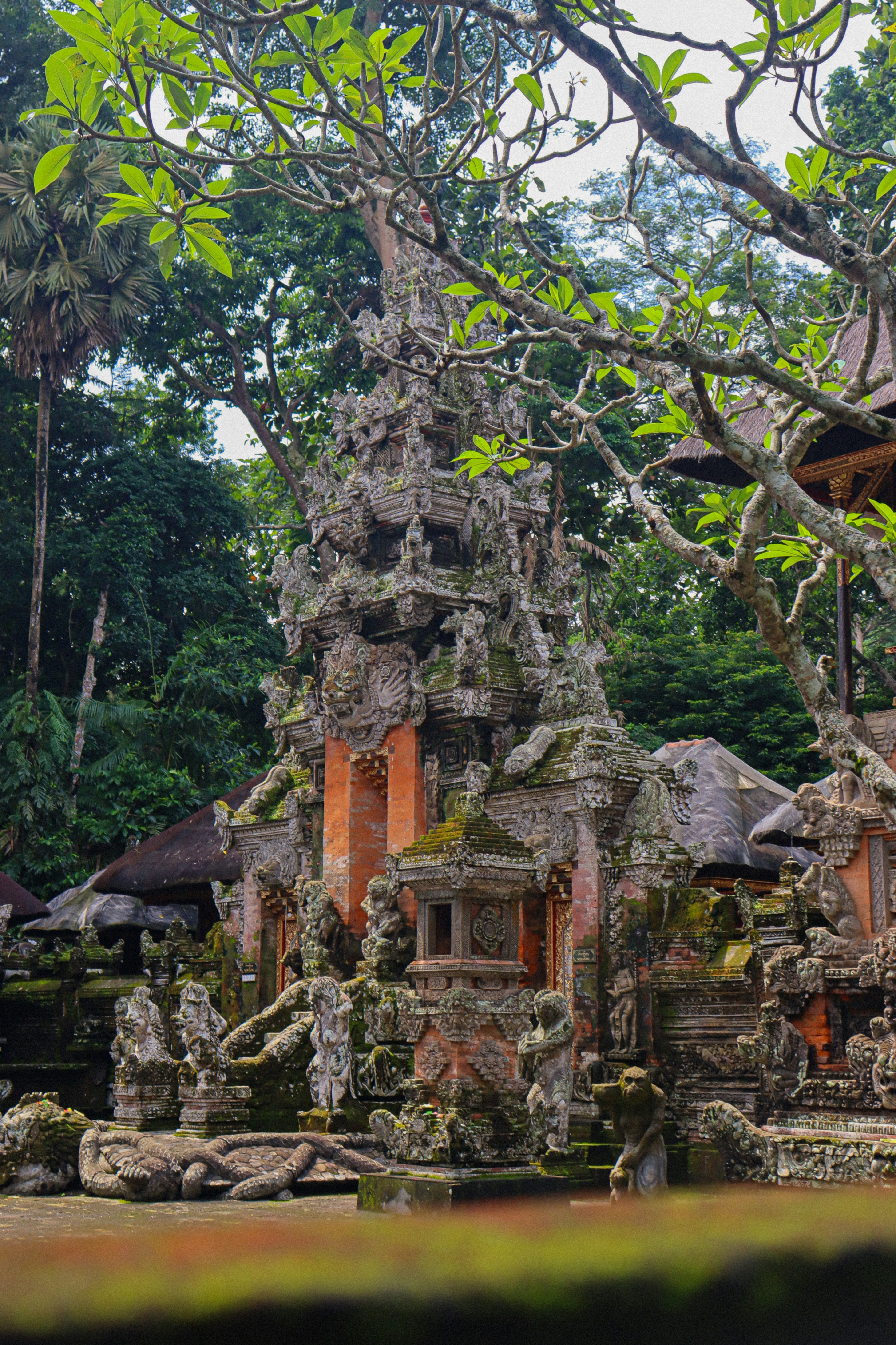 Photo by nicolearangolang