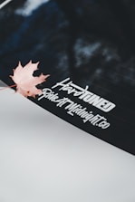 A single maple leaf rests on a car window.