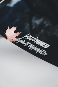 A single maple leaf rests on a car window.