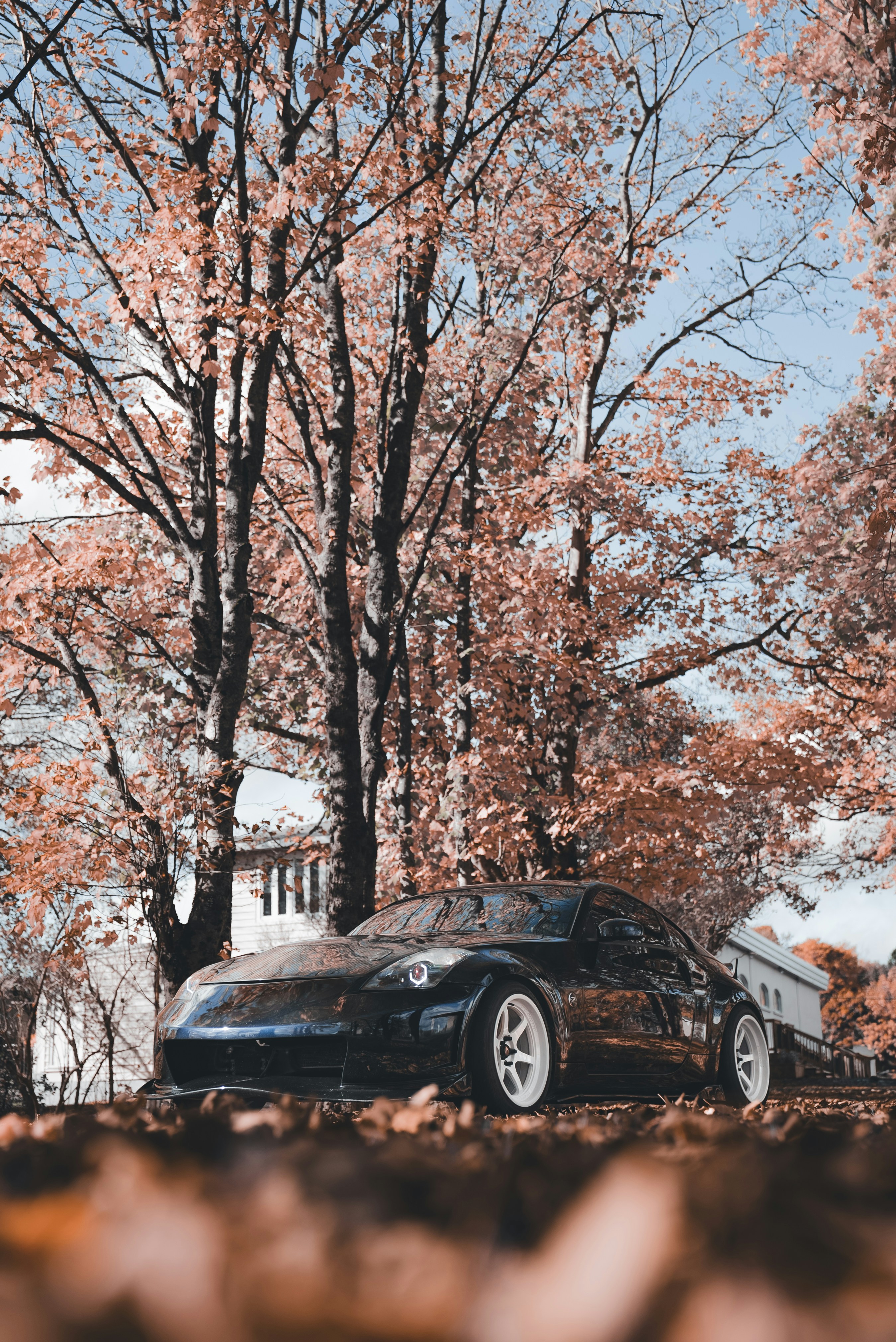 Photo by introspectivedsgn