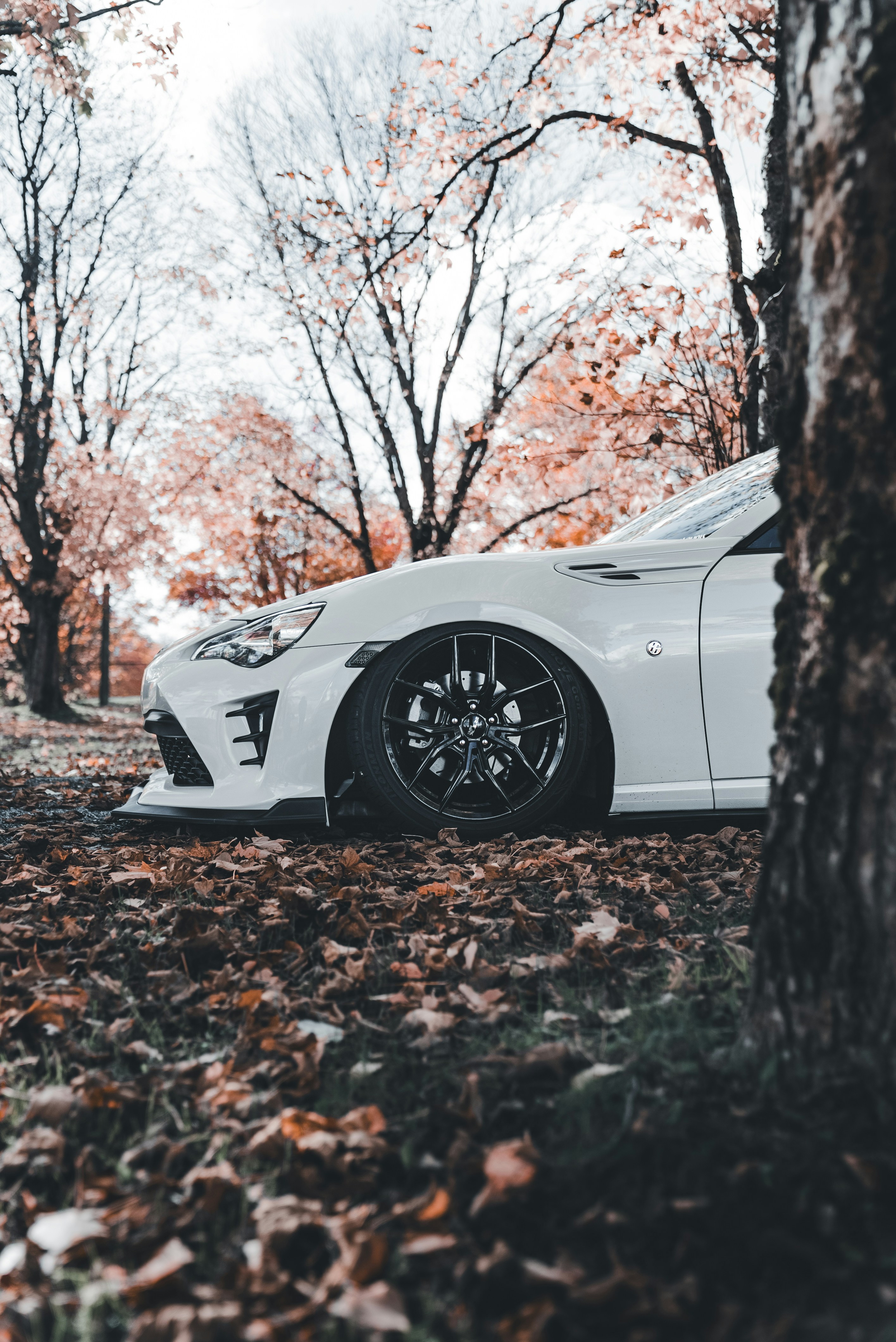 Photo by introspectivedsgn