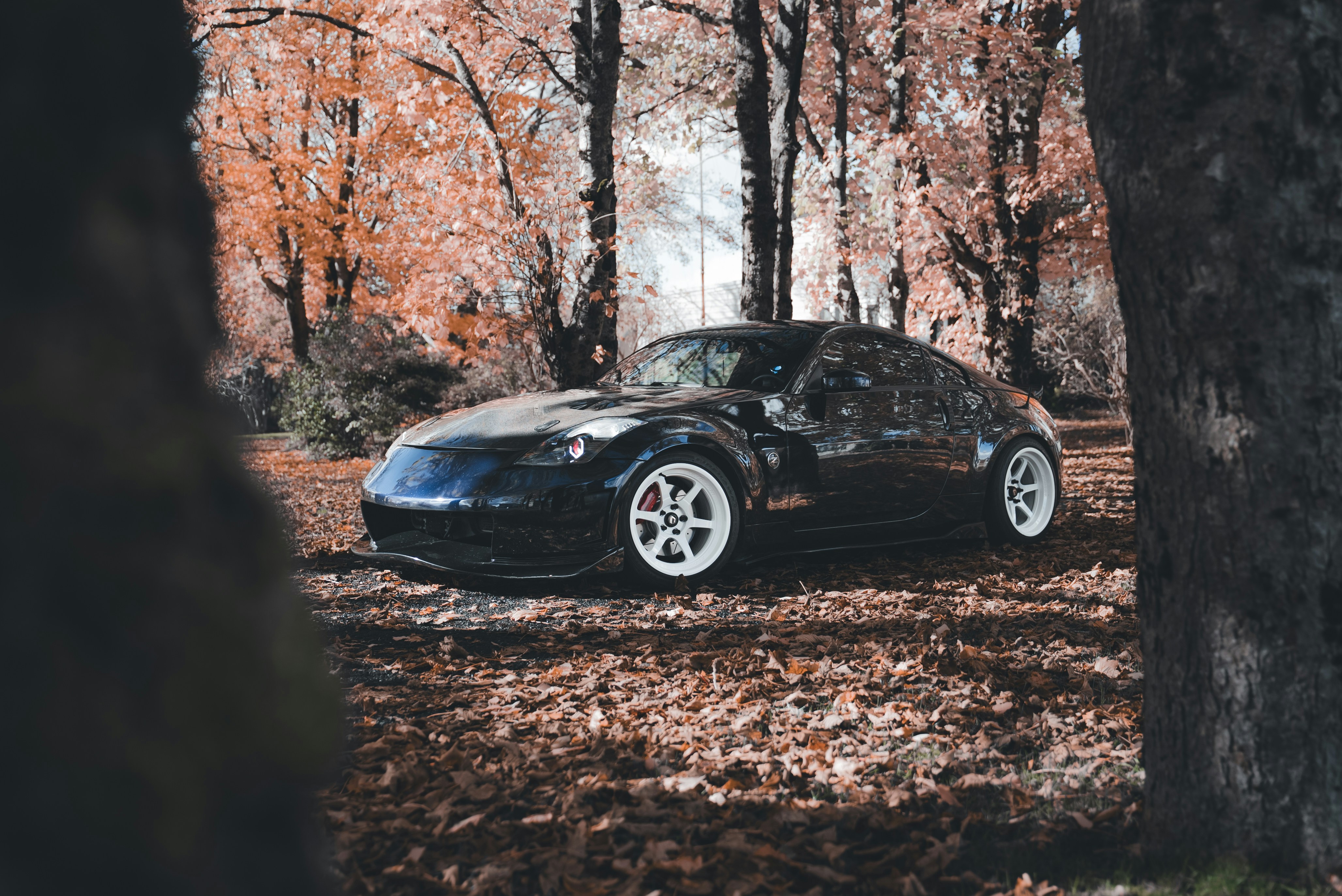 Photo by introspectivedsgn