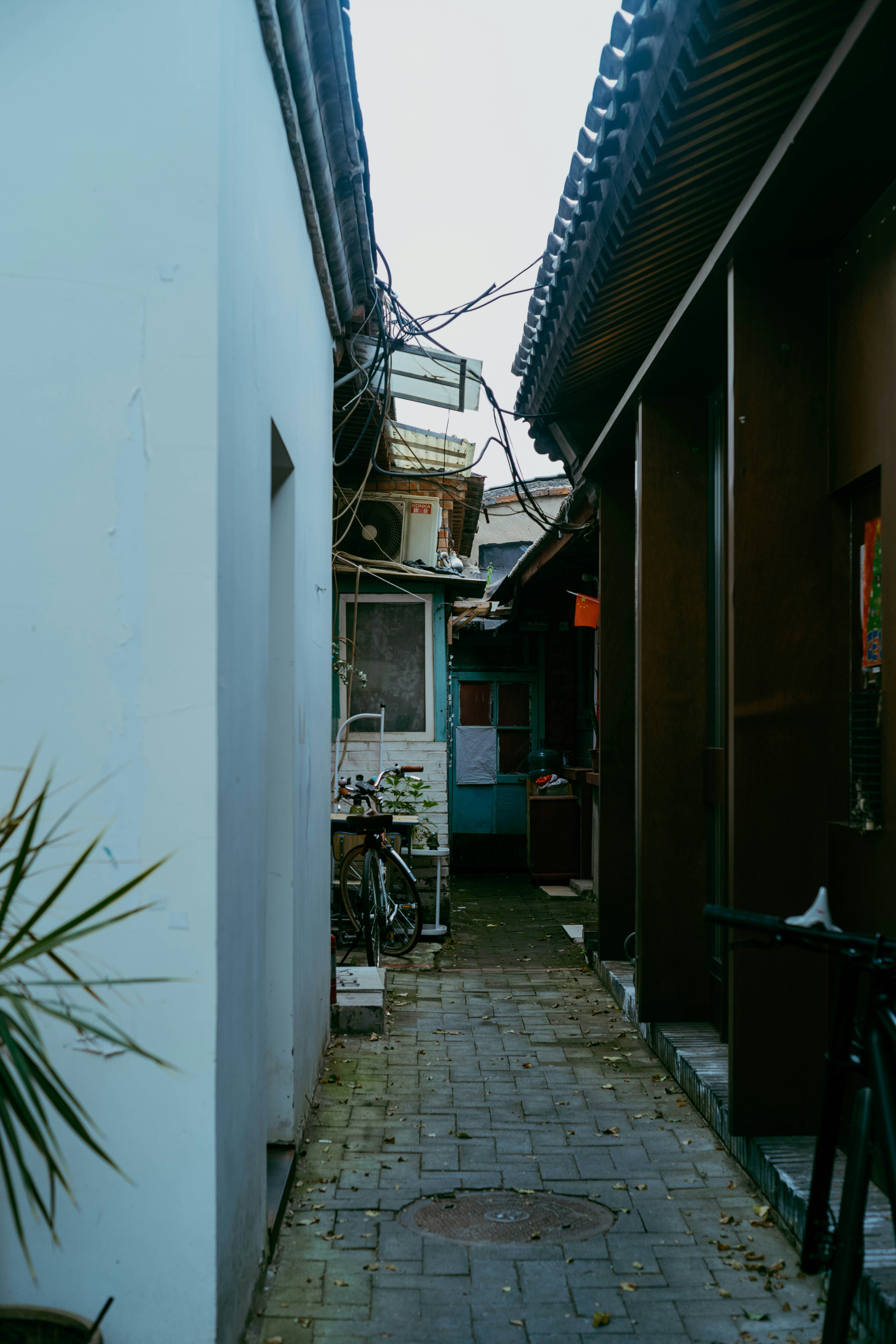 Photo by tommaomaoer