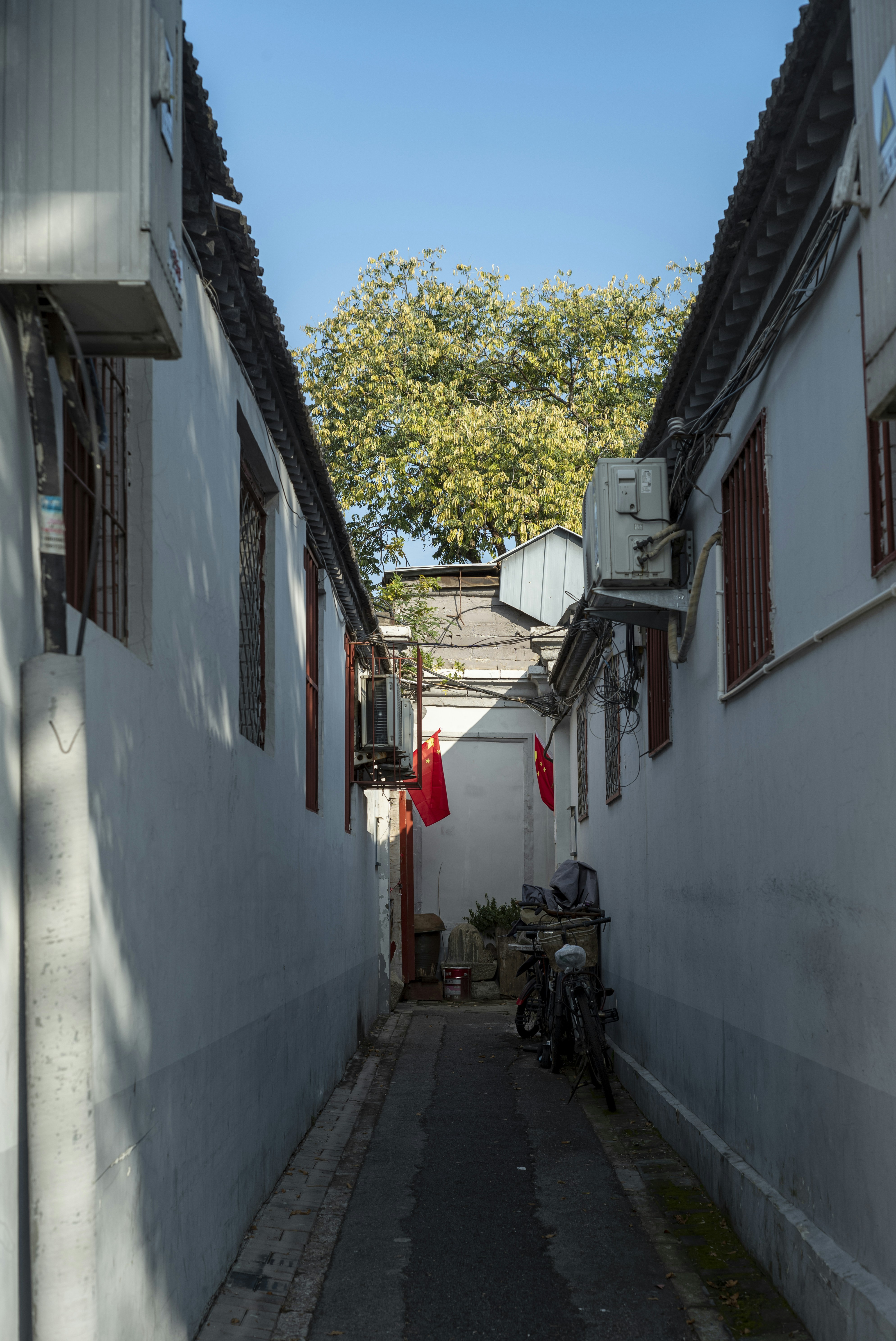 Photo by tommaomaoer