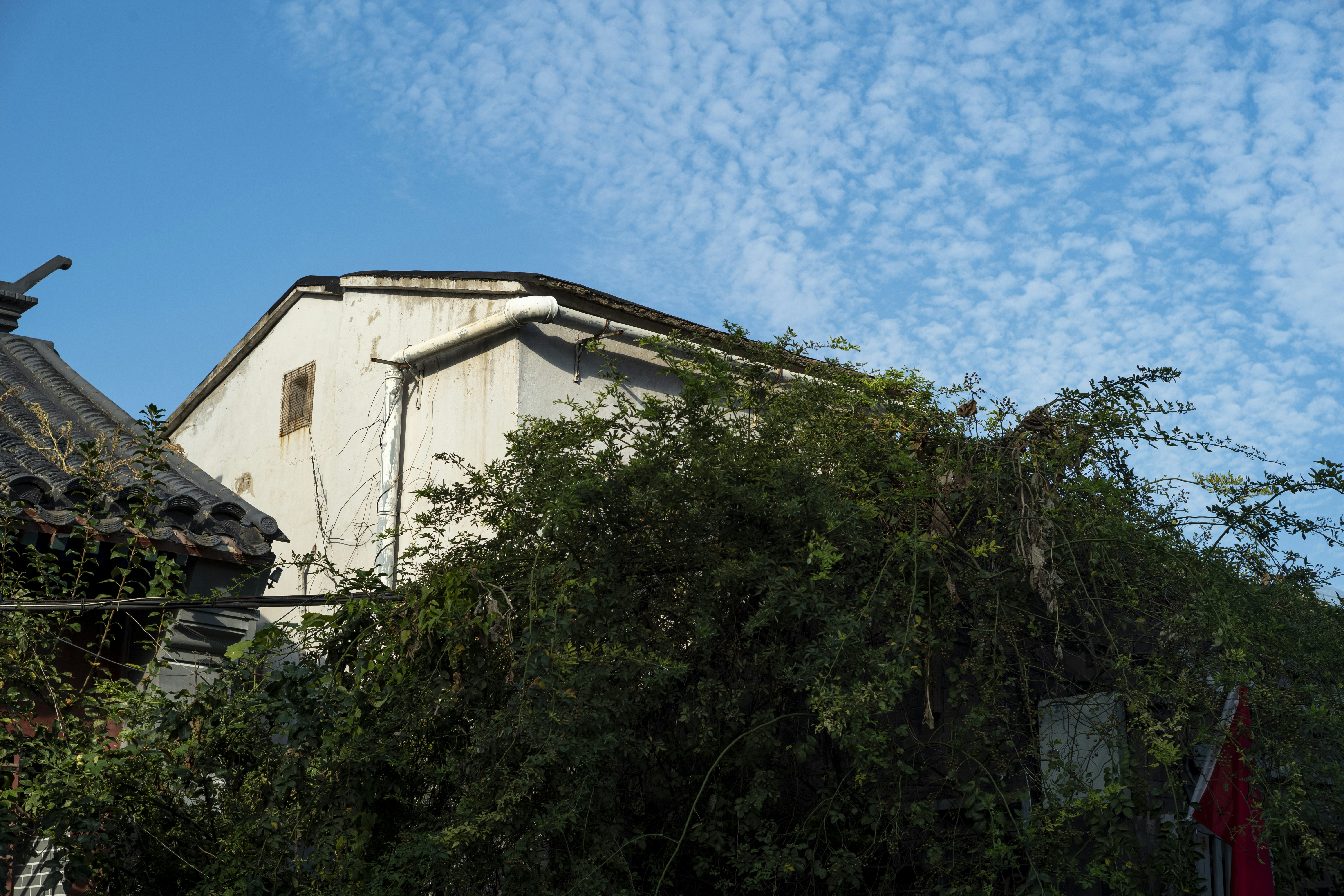 Photo by tommaomaoer