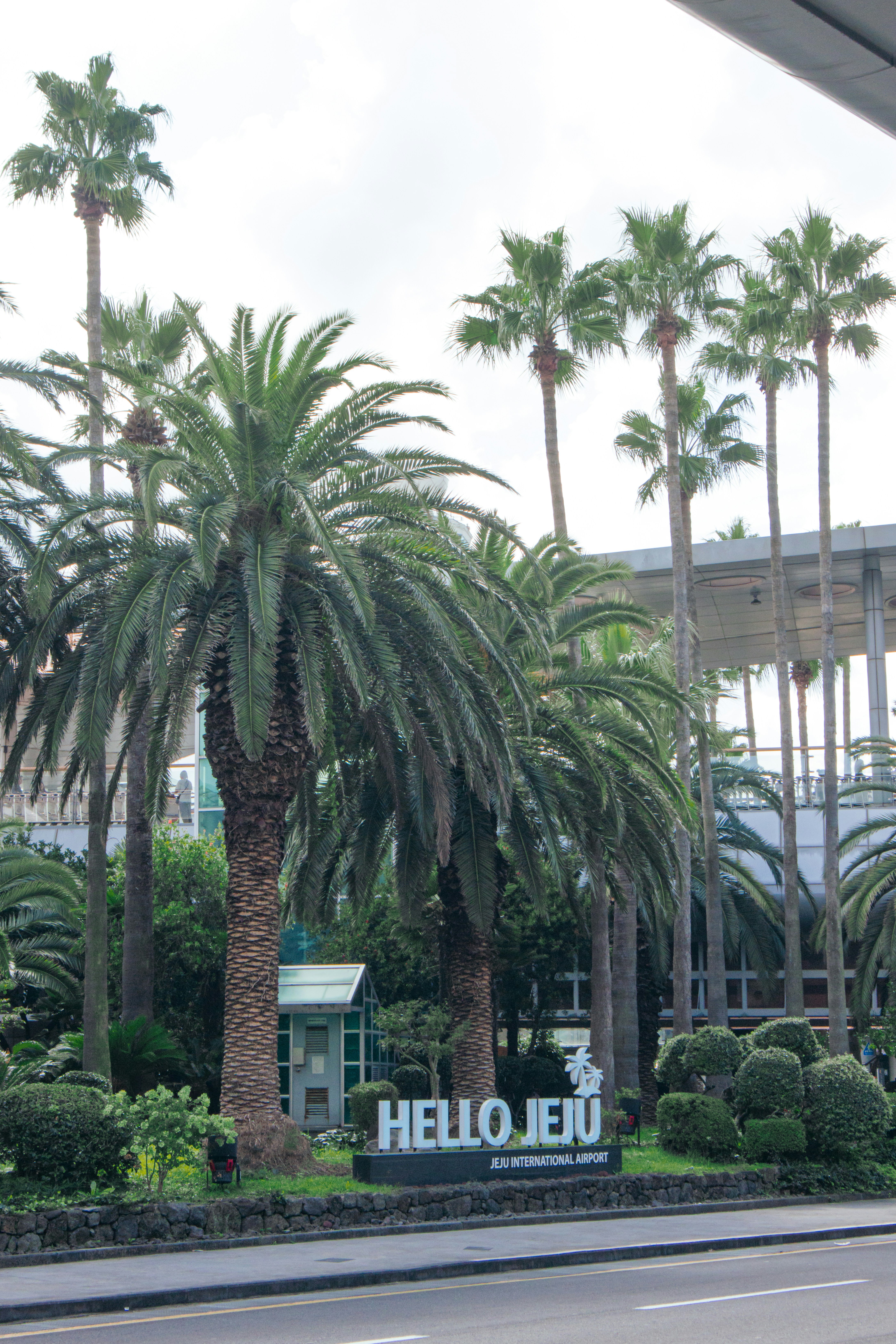 Photo by seoul_lover_lily