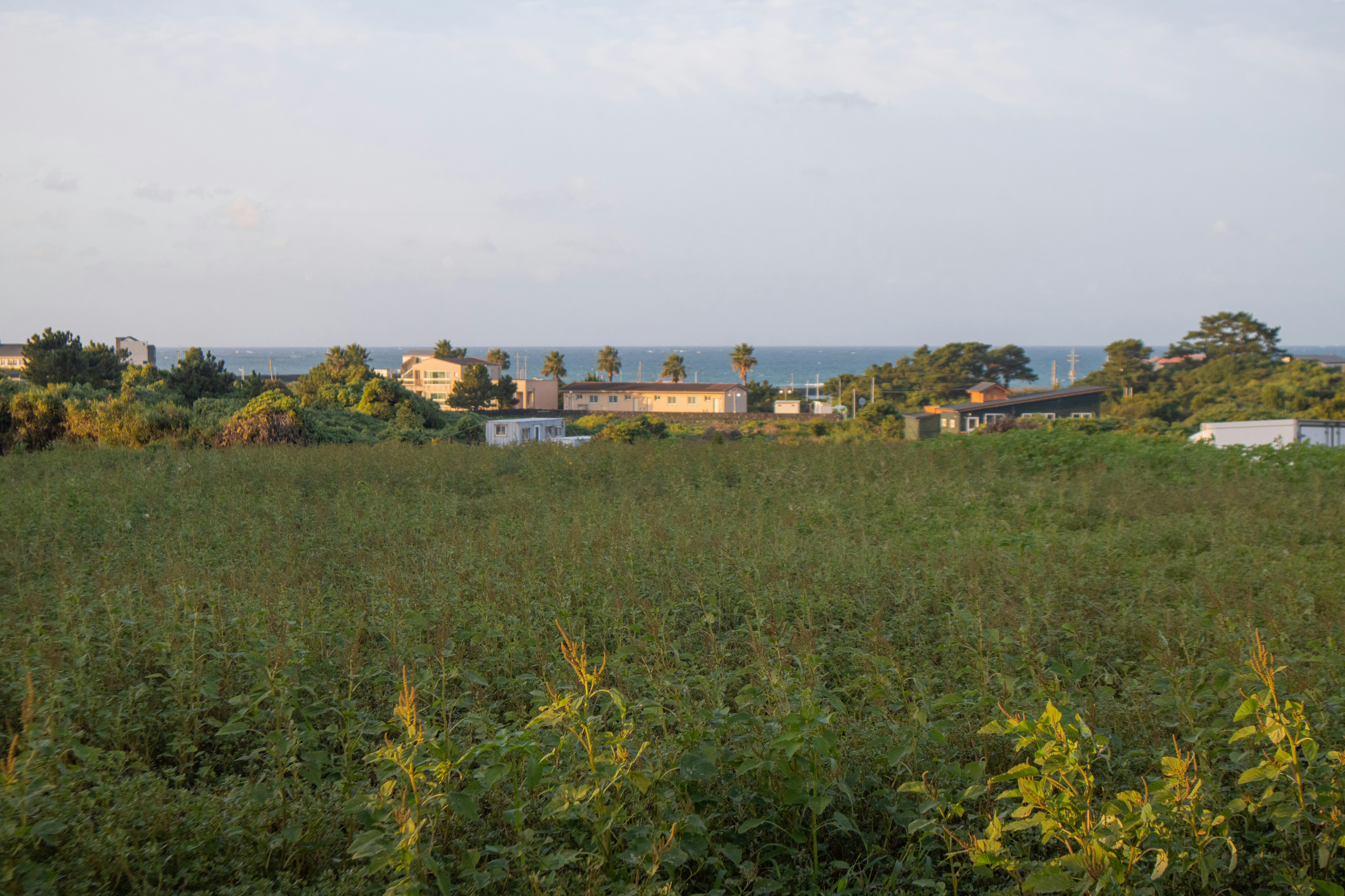 Photo by seoul_lover_lily