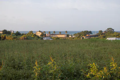 Grassy field with buildings near the coast