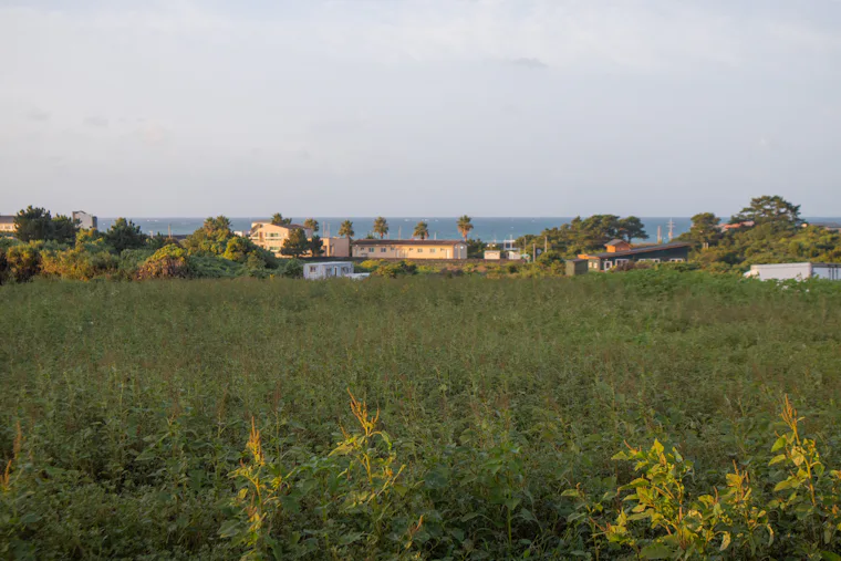 Grassy field with buildings near the coast