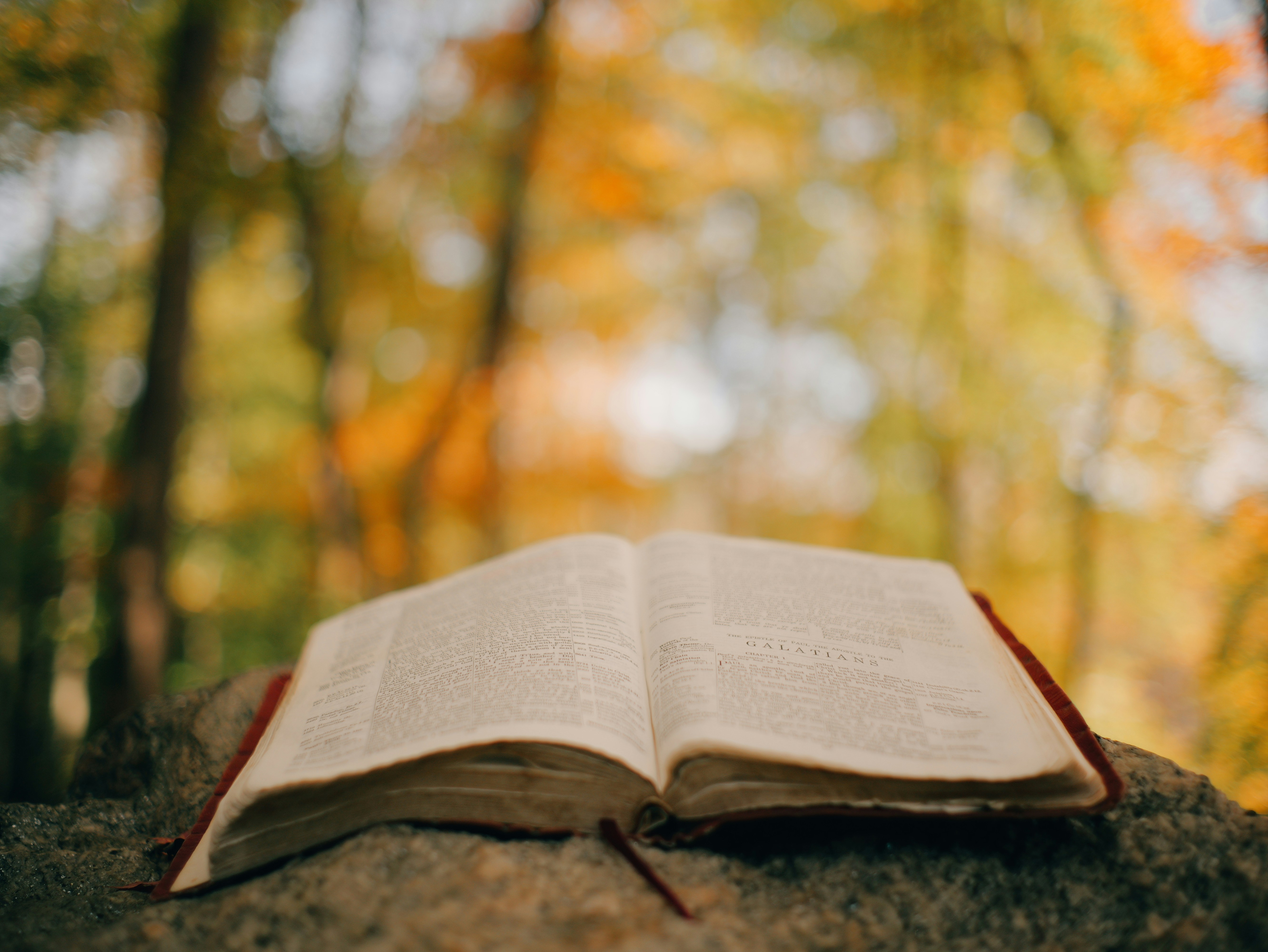 Integrative Nutrition: Eating For Energy, Equilibrium, And Lifespan