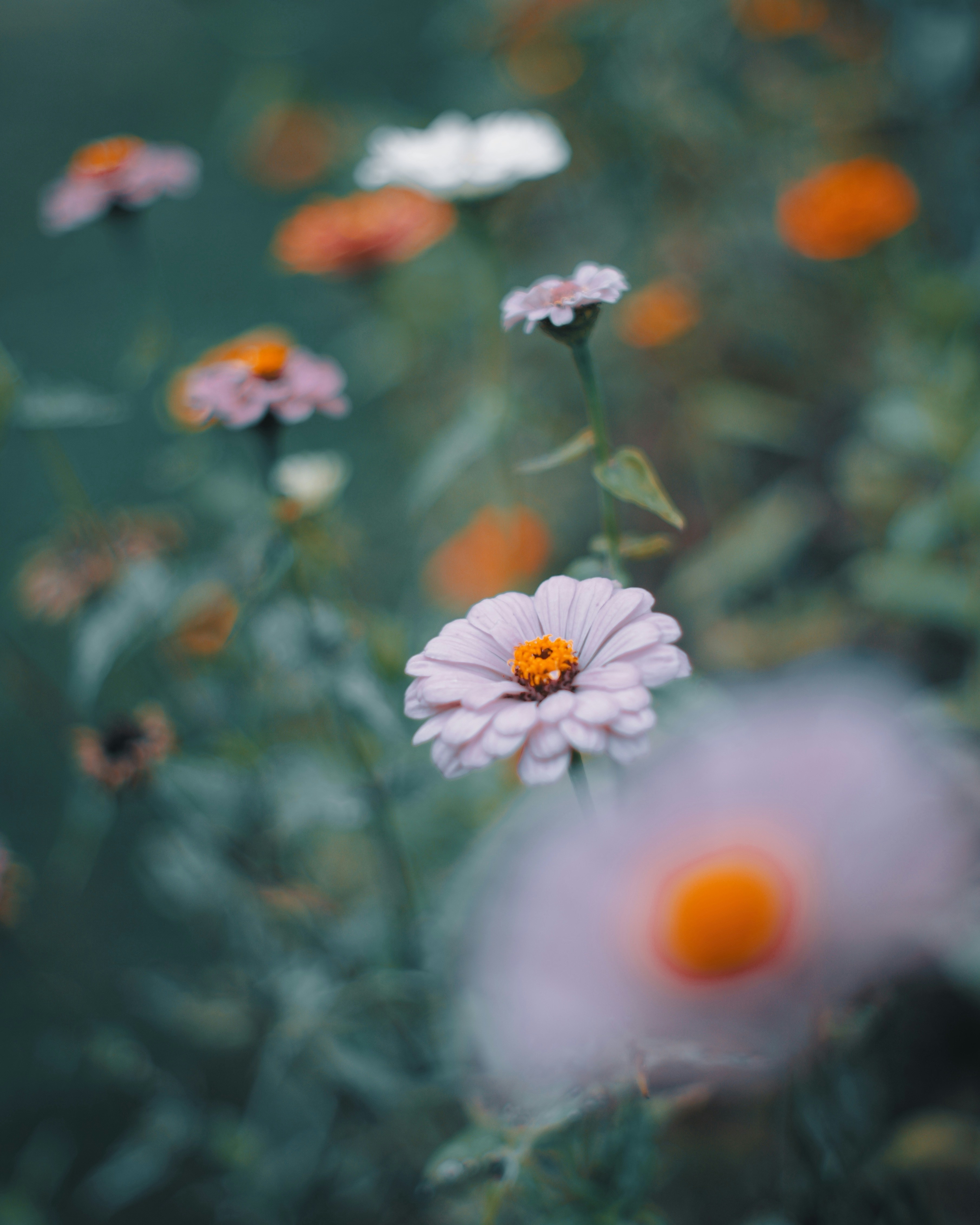 Photo by aaronburden